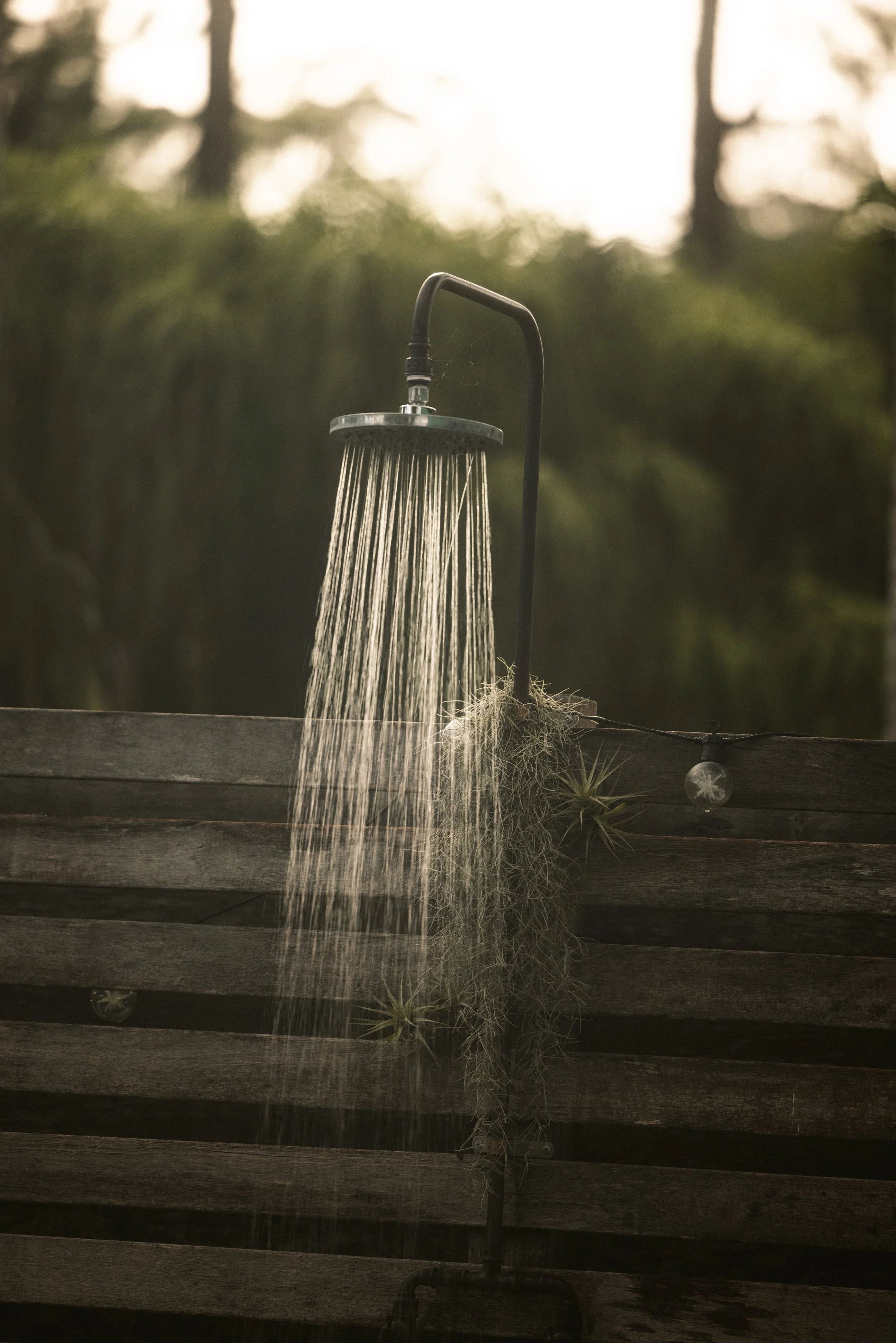 TOBIAS - March 22, 2026 05-57-01.jpg