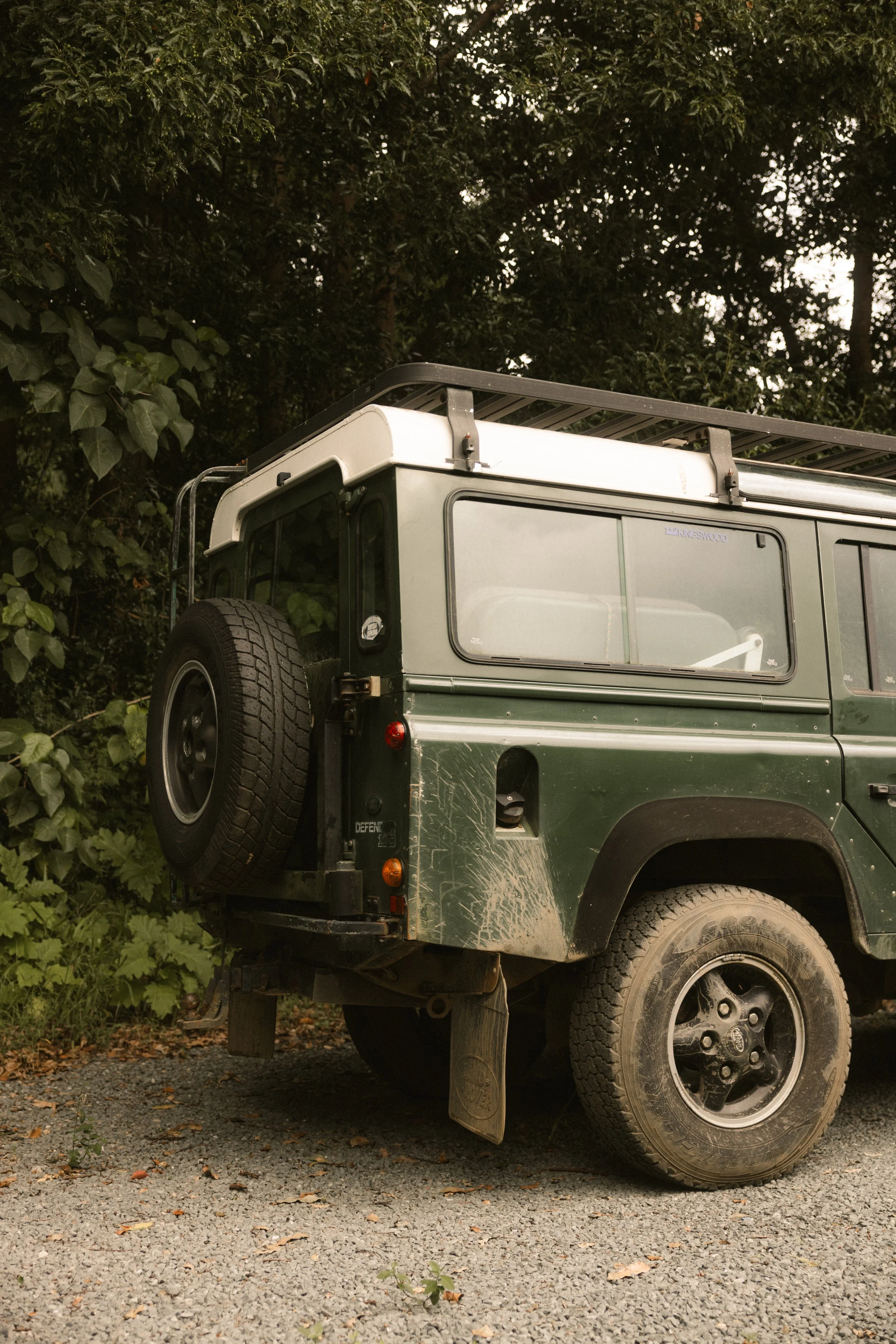 TOBIAS - March 15, 2026 13-55-56.jpg