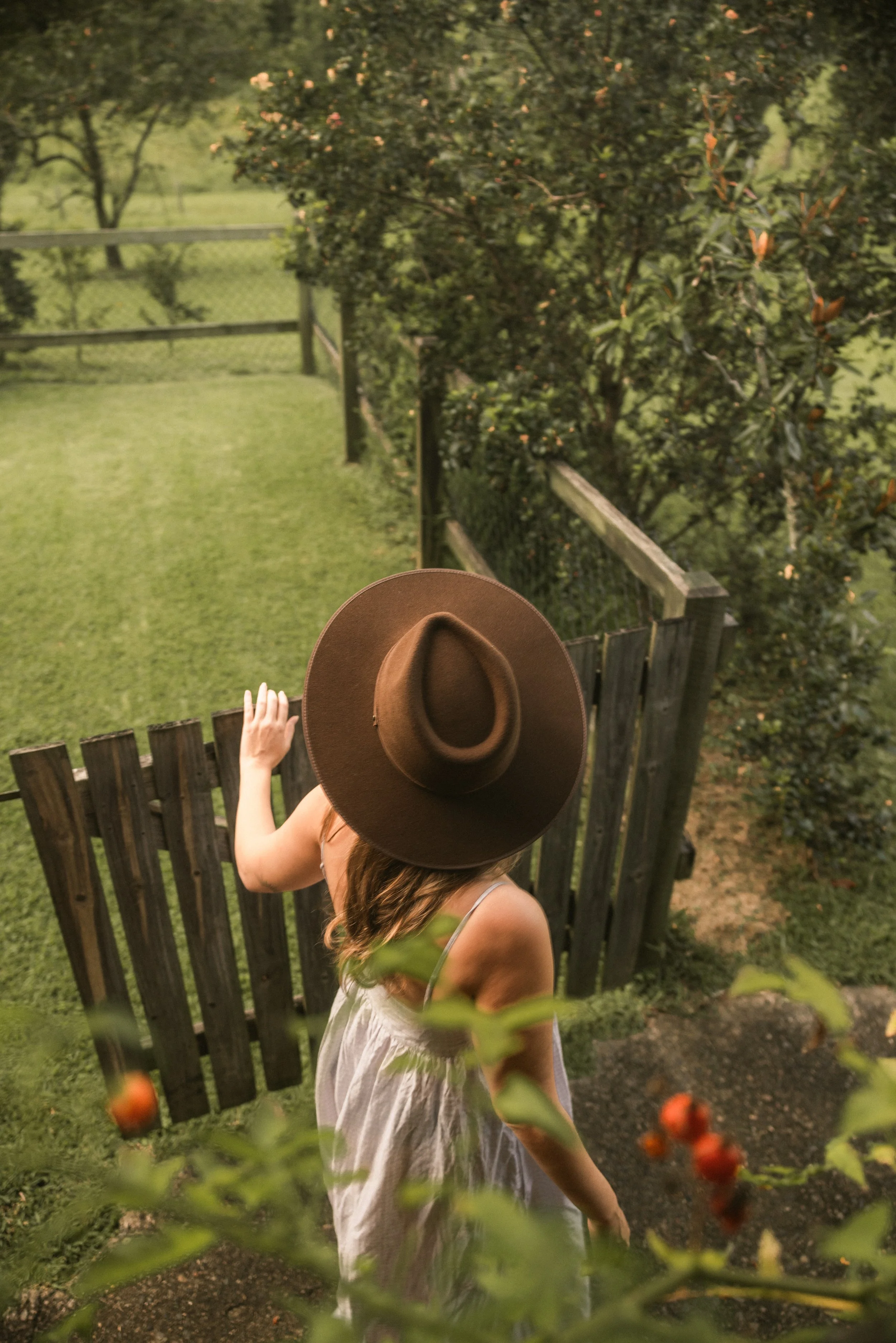 TOBIAS - March 18, 2026 14-58-16.jpg