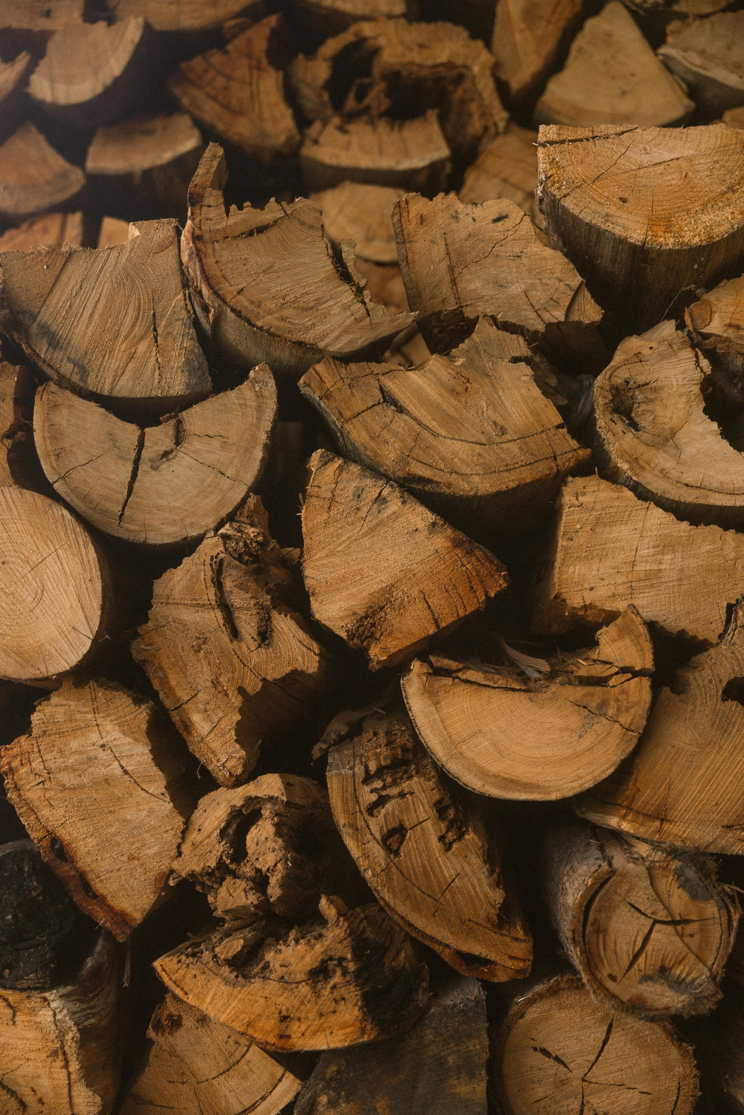 TOBIAS - January 06, 2026 13-35-31.jpg