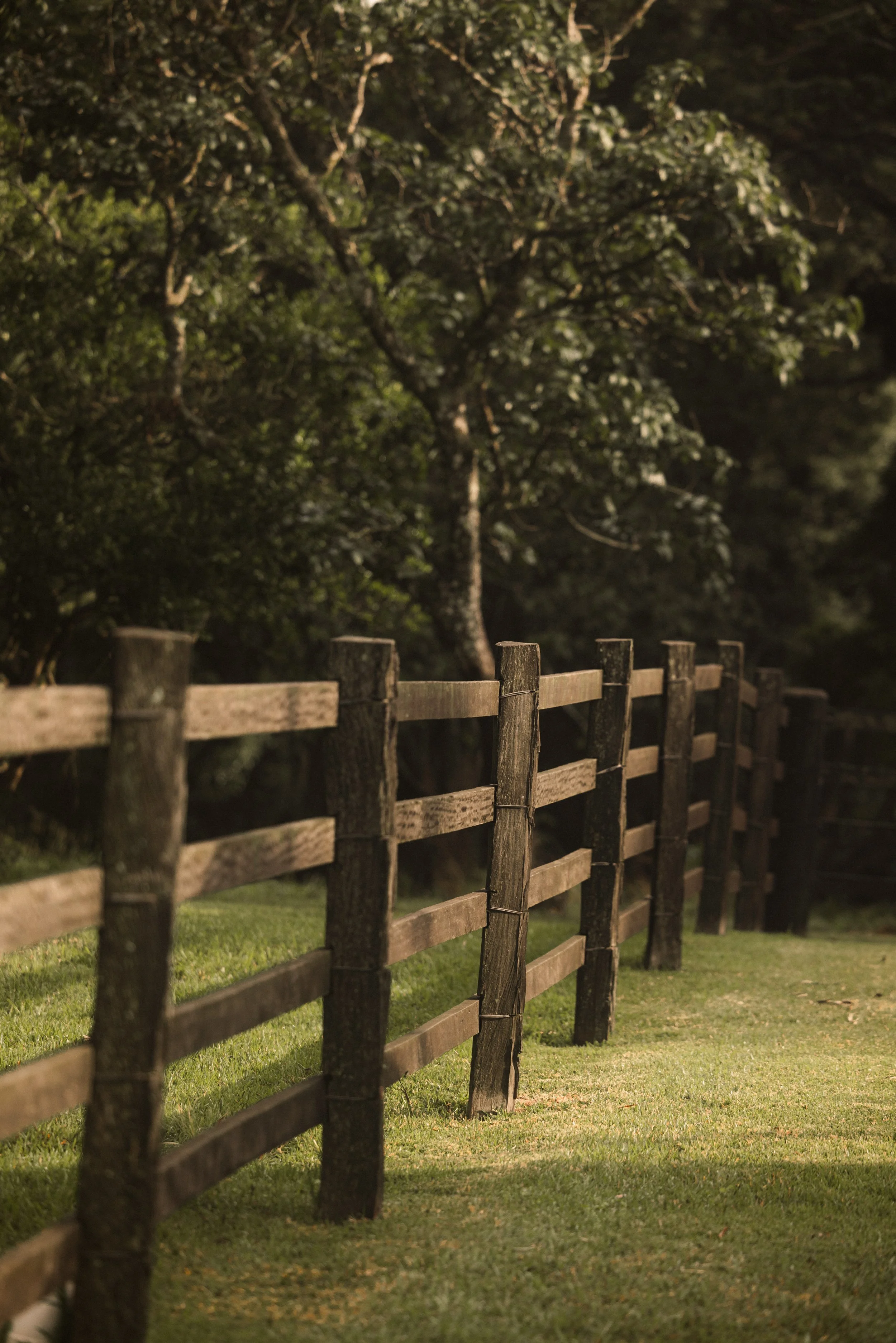 TOBIAS - March 22, 2026 05-49-08.jpg