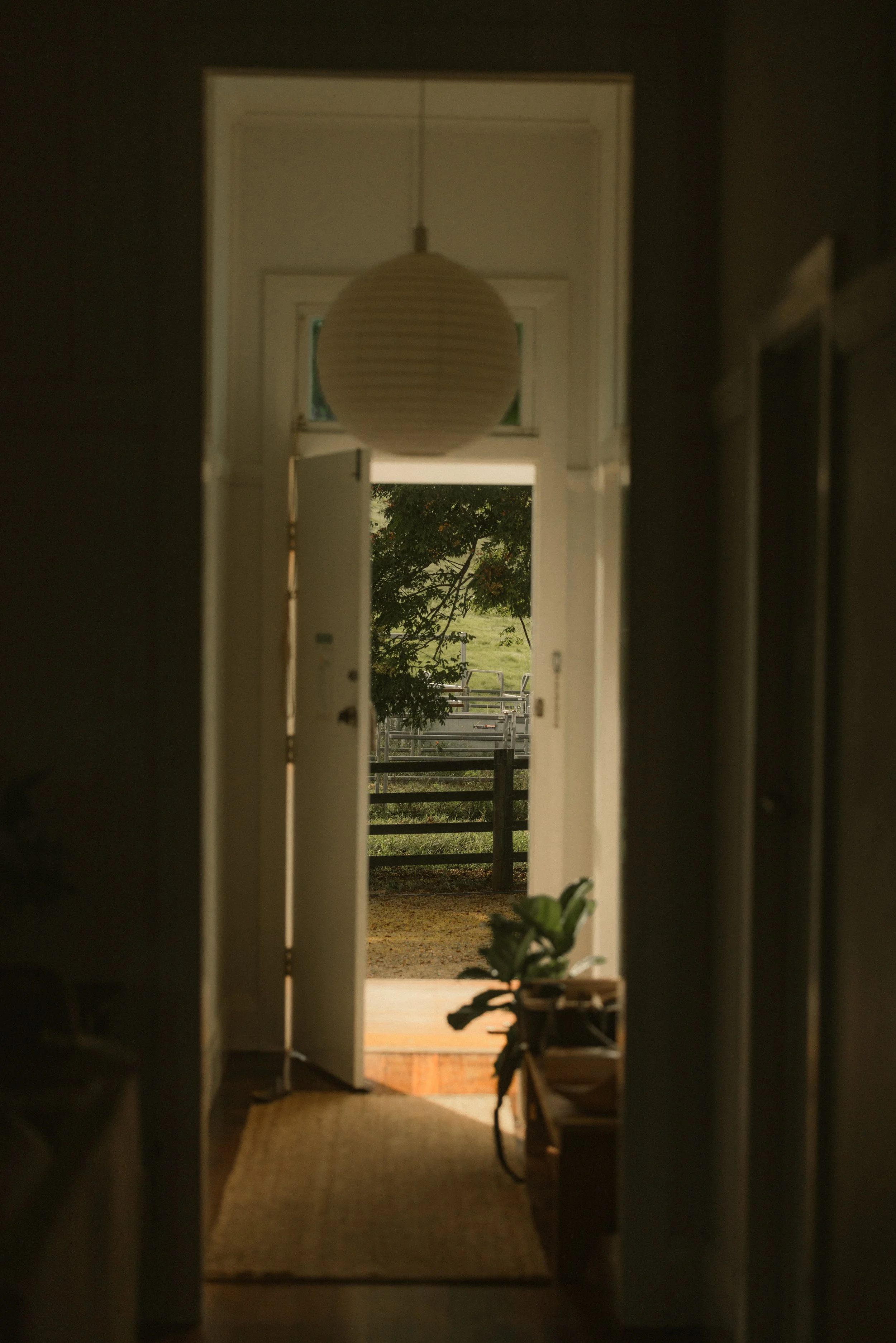 TOBIAS - March 22, 2026 05-58-36.jpg