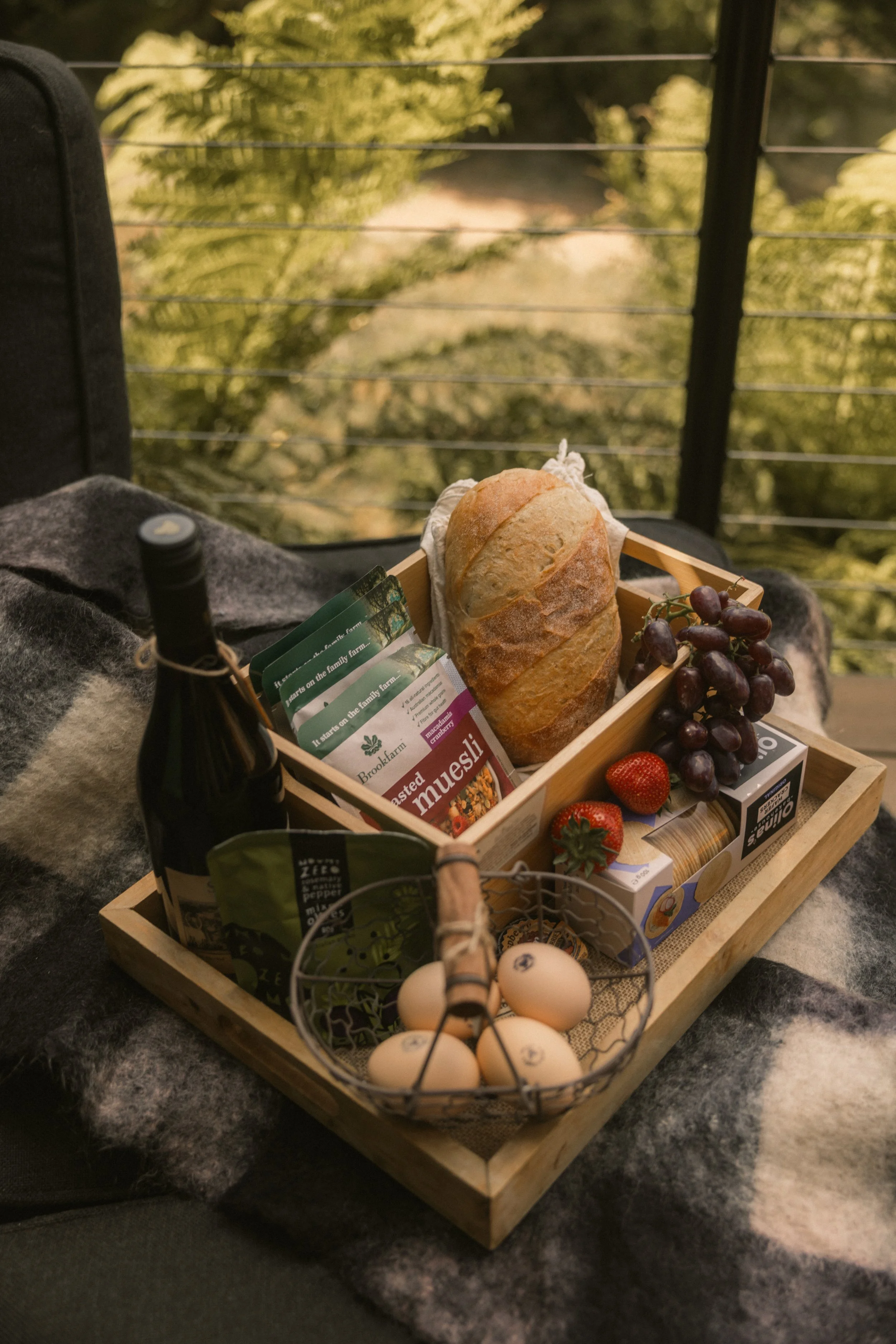 TOBIAS - January 12, 2026 07-45-43.jpg