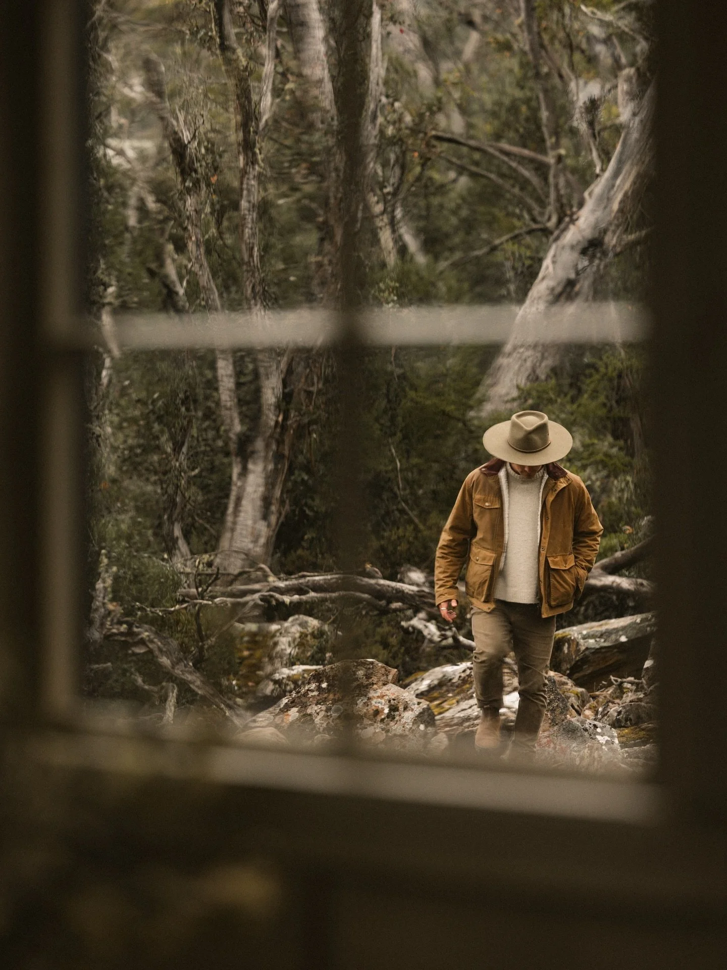 &bull; Settling off-grid, collecting wood, listening to the trees, and soaking in the warm light as it creeps through the windows ⴲ

&bull; @______campnowhere 𖡡

#offgridlife #cozycabin #cabin #aesthetic #tinyhome