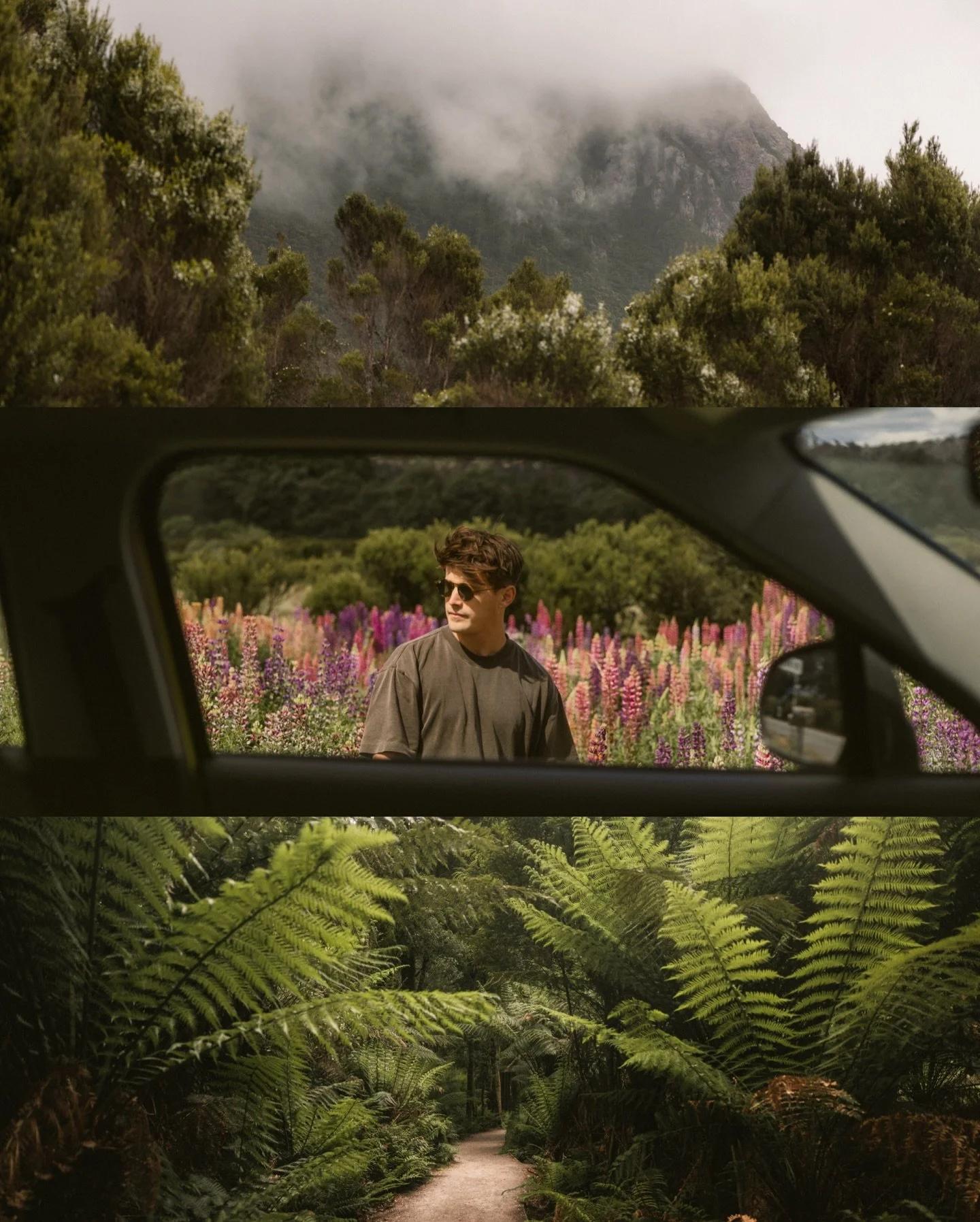 &bull; Travelling west through winding roads of ferns and deep emerald greens&hellip; my favourite 𐡚 I hope we had a great weekend! 

#Tasmania #roadtrip #travelcreator #outdoors