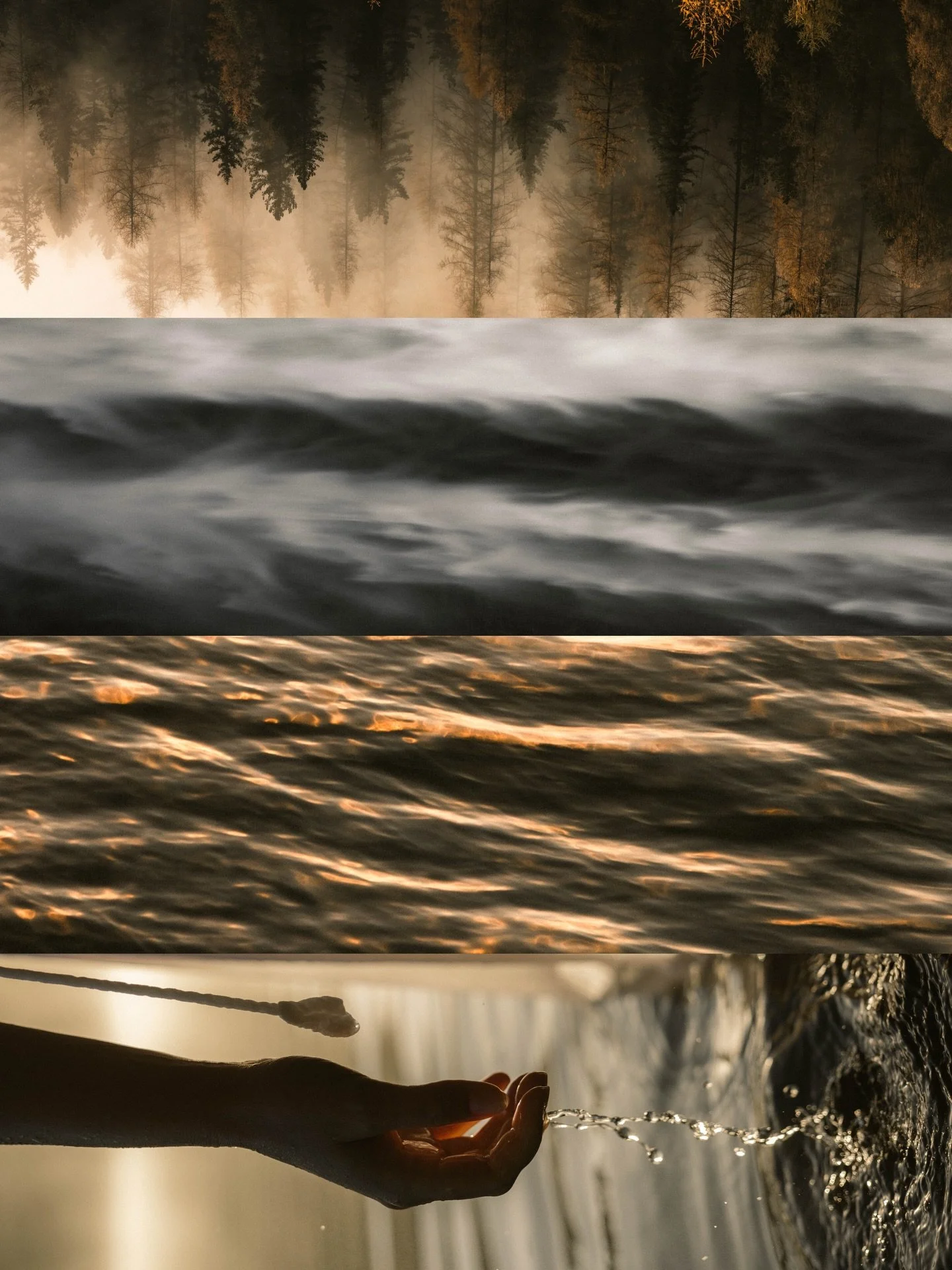 &bull; In the moment ❍

#cinematic #moodytones #visualsofearth #nature