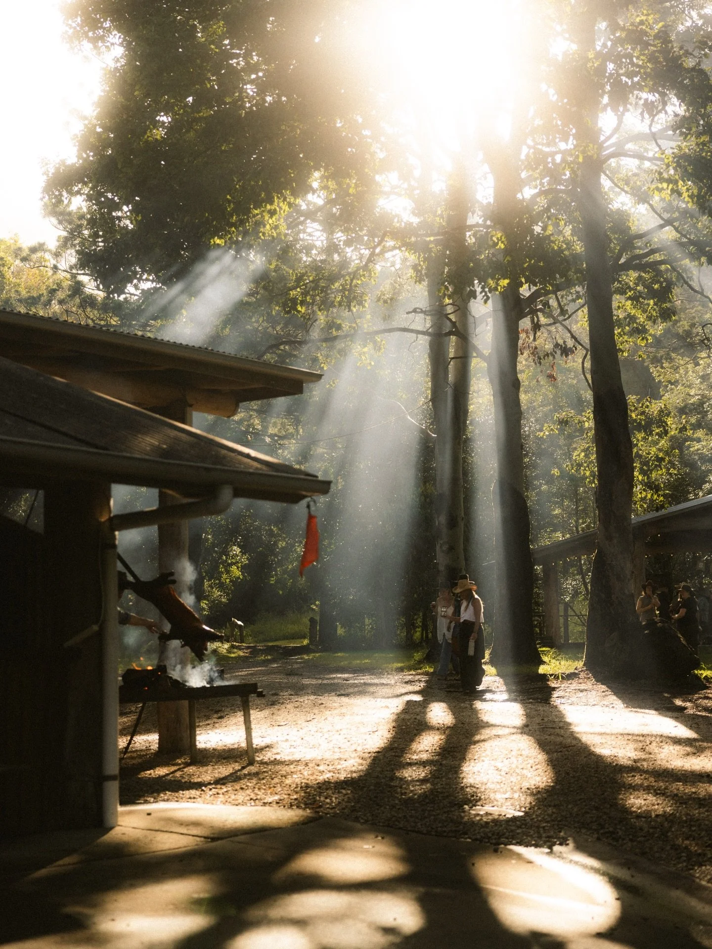 &bull; Pockets of light ❍

&bull; Moments of calm from my previous trip ✂︎

#aesthetic #light #stillness #earth #minimalism
