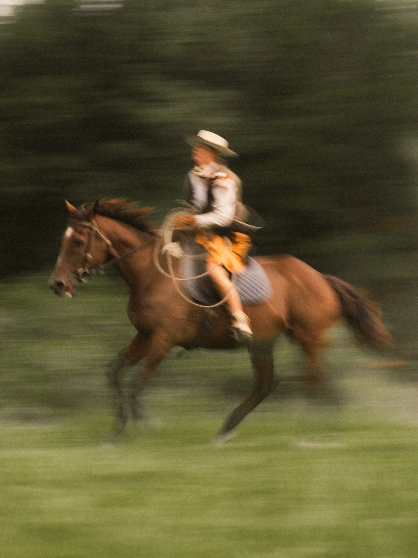&bull; The Lone Rider | From a beautiful afternoon in the valley 𐡚