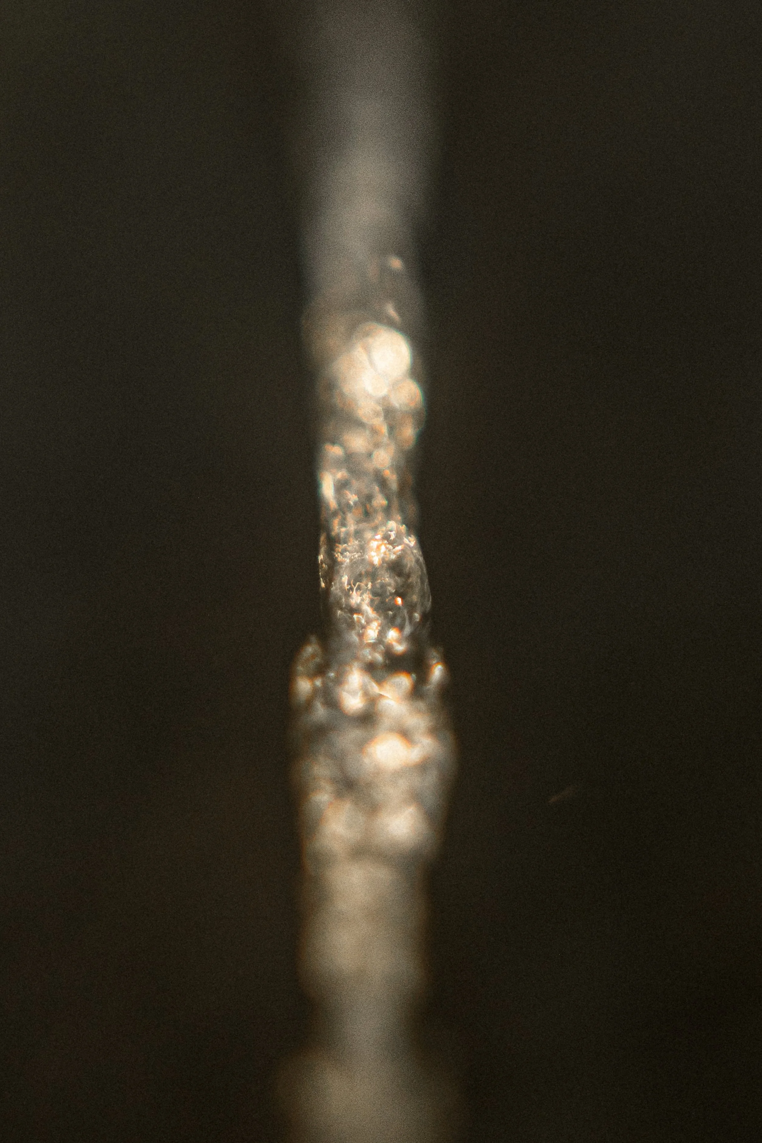 TOBIAS - March 27, 2026 04-32-48.jpg