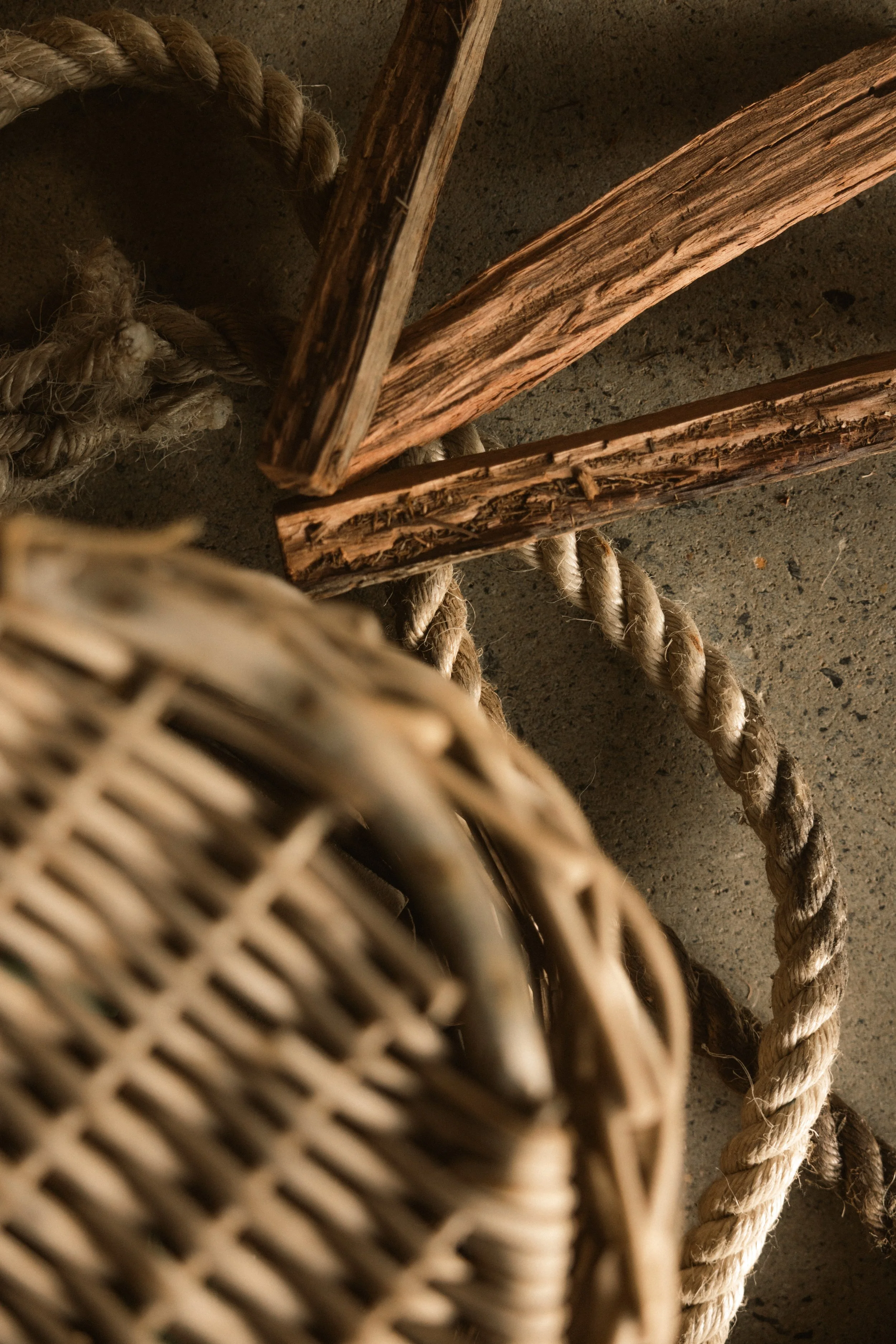 TOBIAS - March 18, 2026 07-31-14.jpg