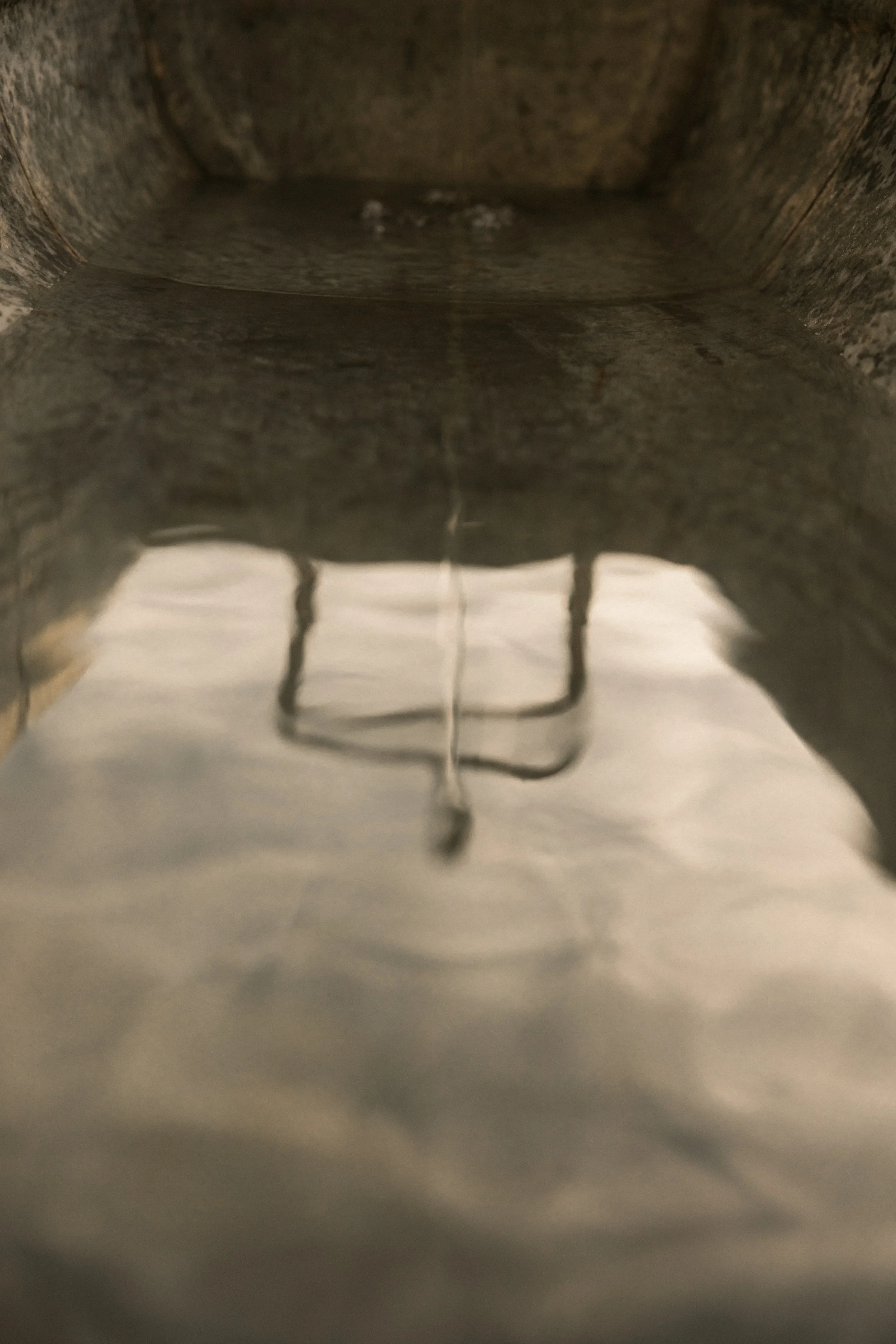 TOBIAS - March 27, 2026 04-31-30.jpg