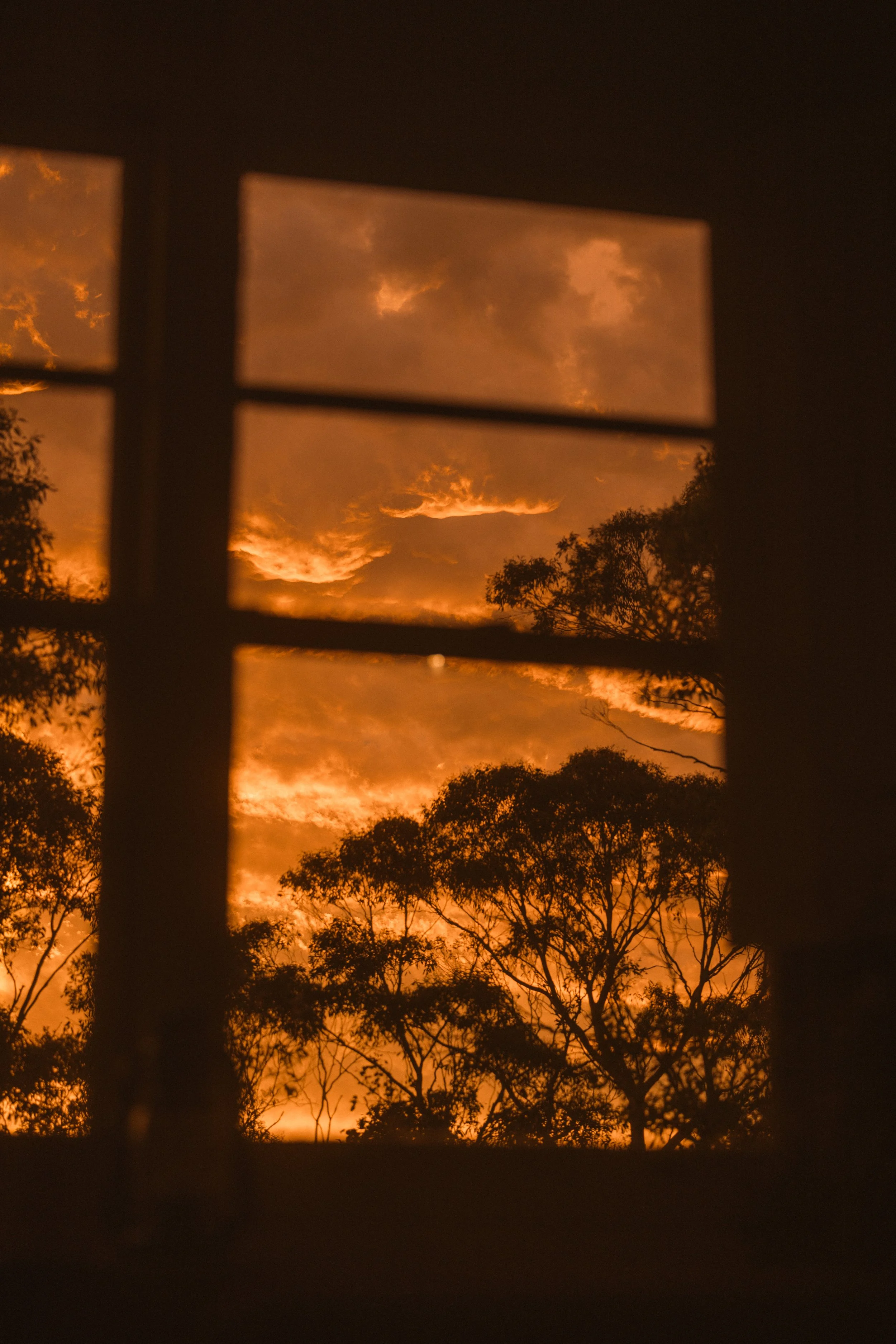 TOBIAS - January 09, 2026 17-56-59.jpg