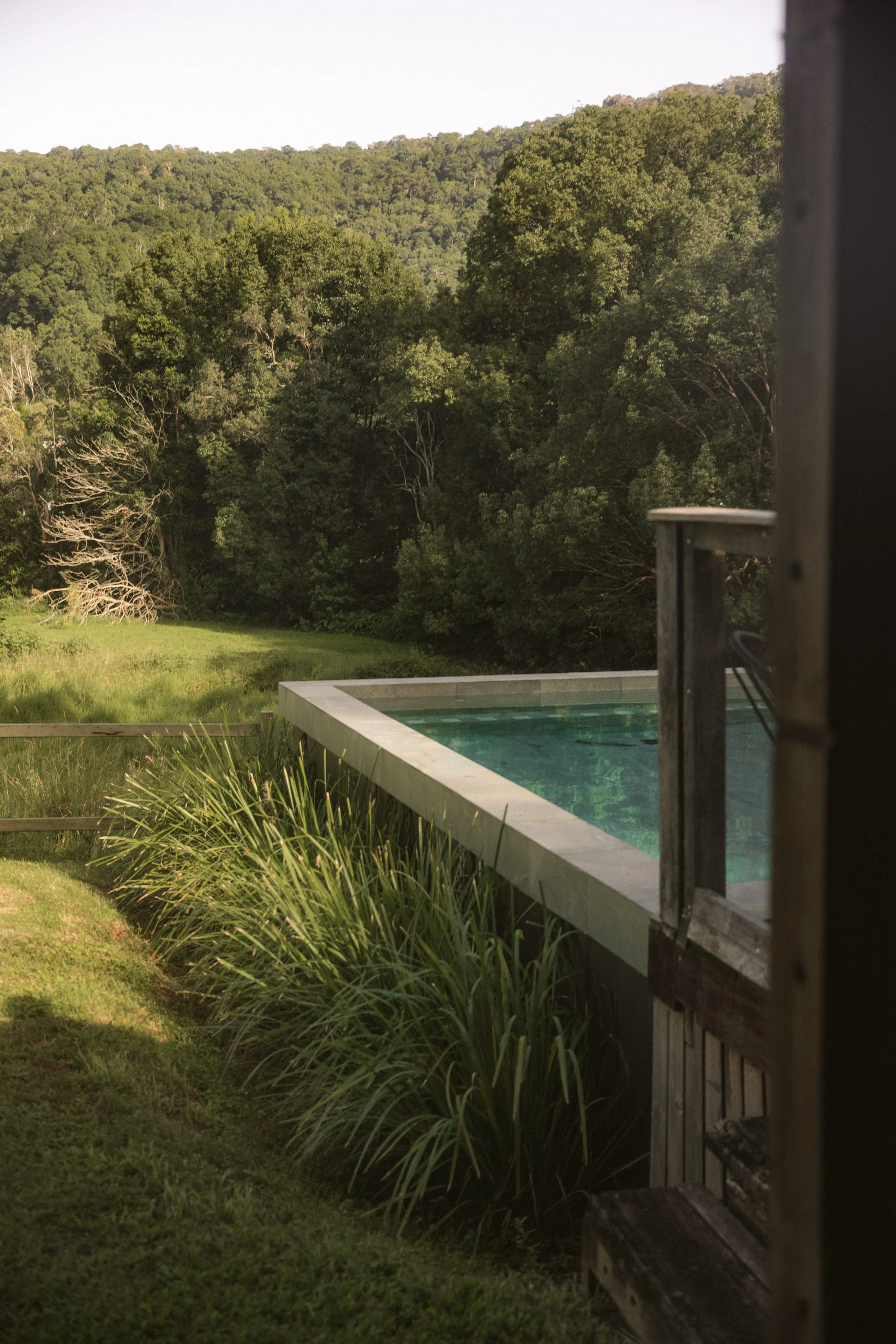 TOBIAS - March 20, 2026 06-36-17.jpg