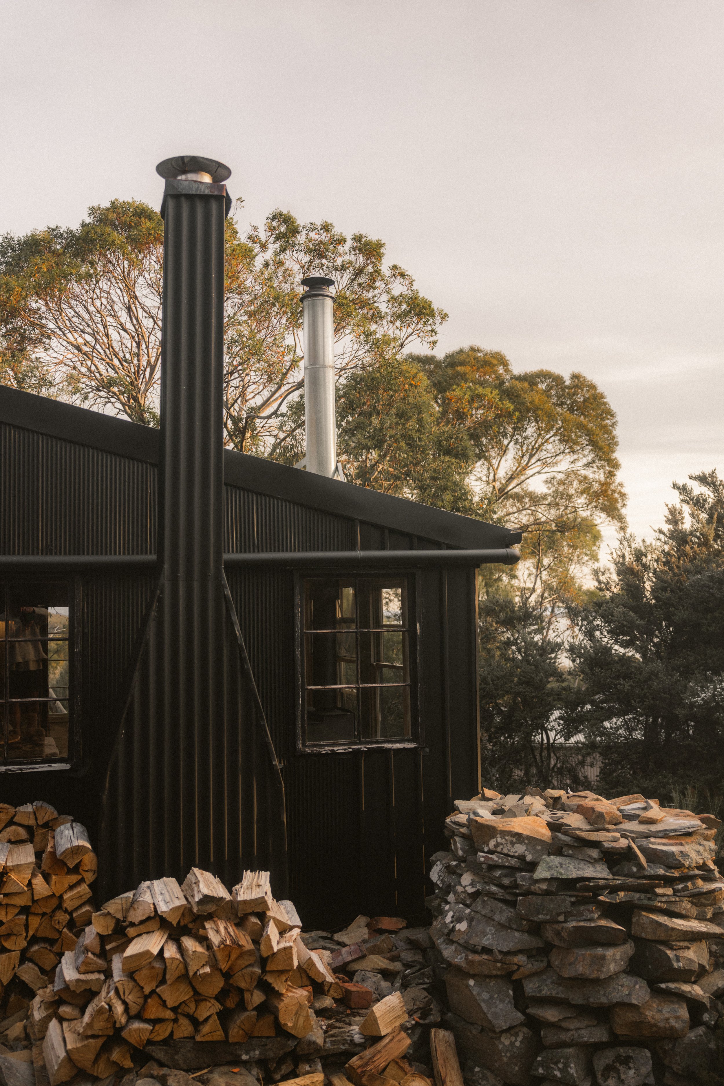 TOBIAS - January 08, 2026 17-27-10.jpg