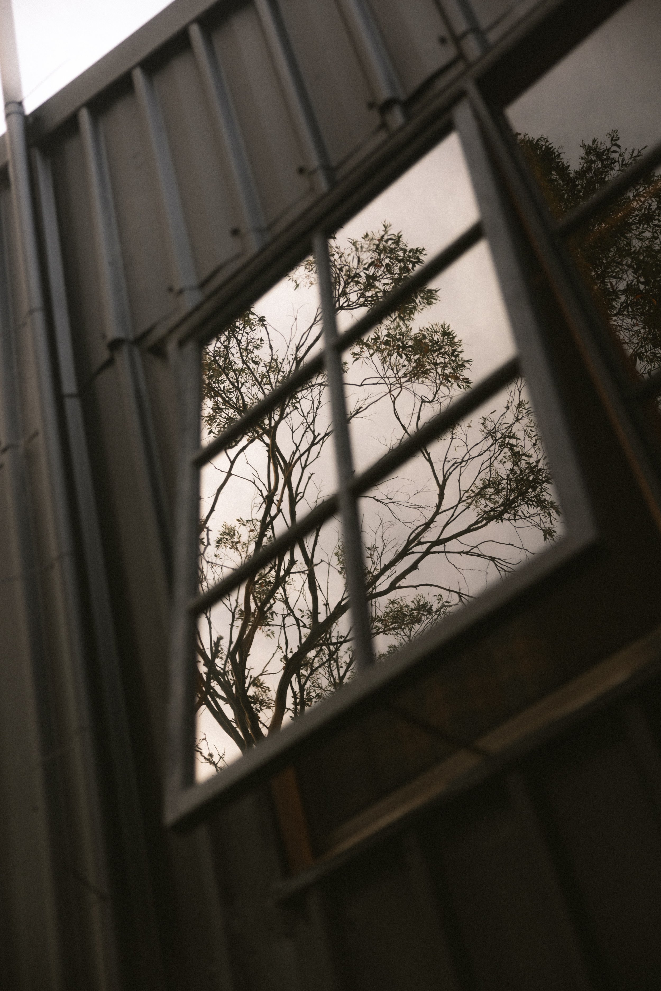 TOBIAS - January 08, 2026 17-31-40.jpg