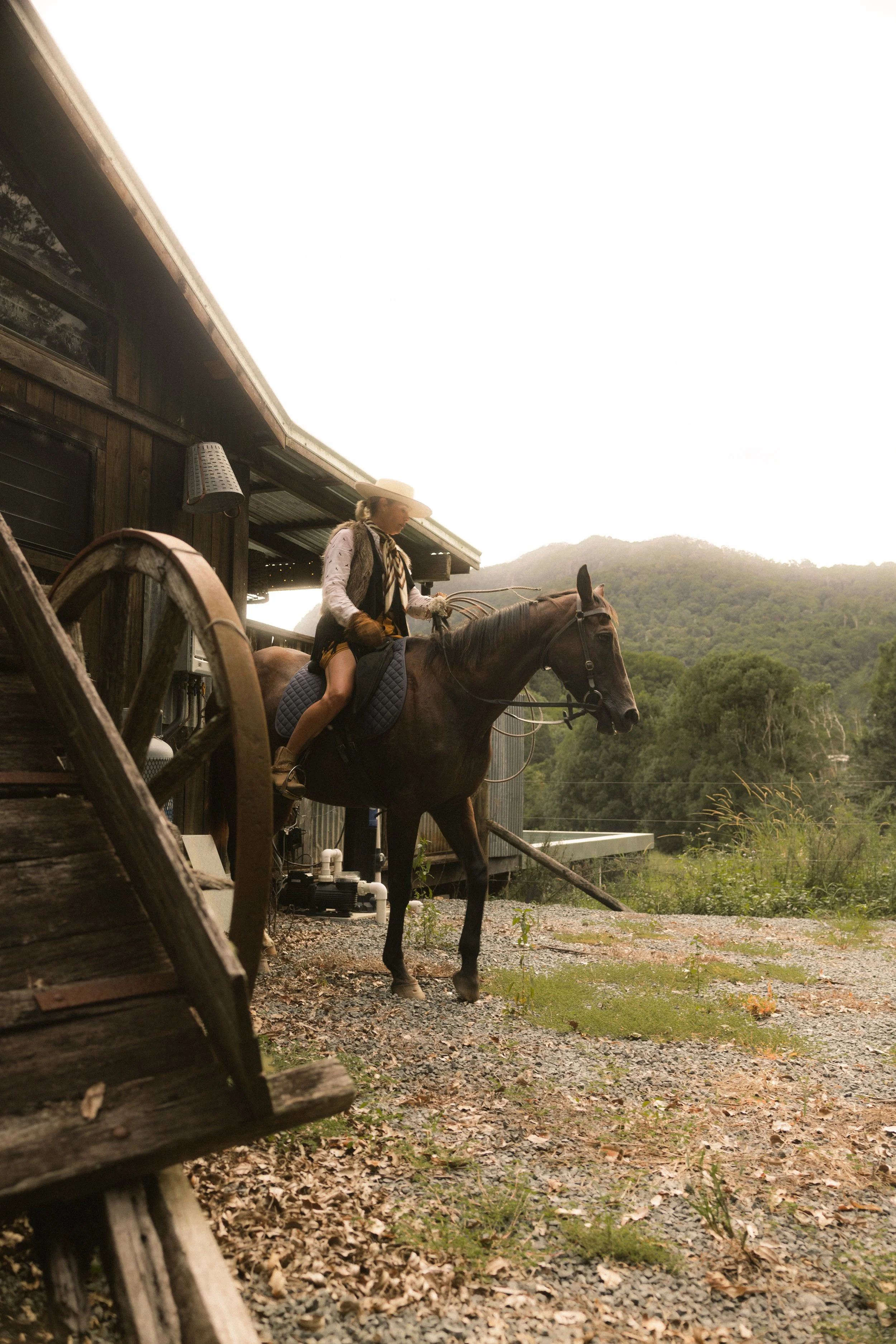 TOBIAS - March 15, 2026 15-01-09-2.jpg