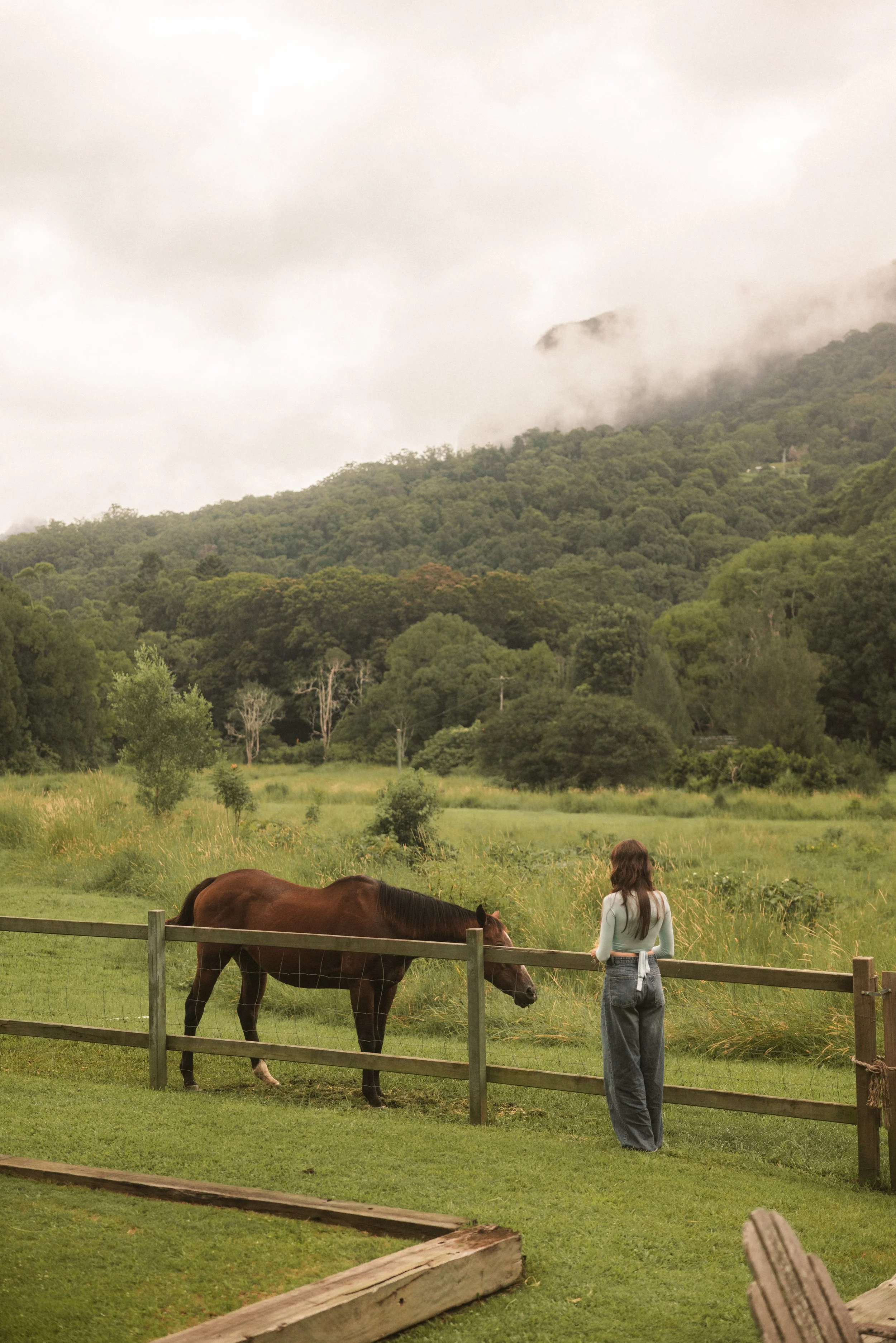 TOBIAS - March 19, 2026 09-14-18.jpg