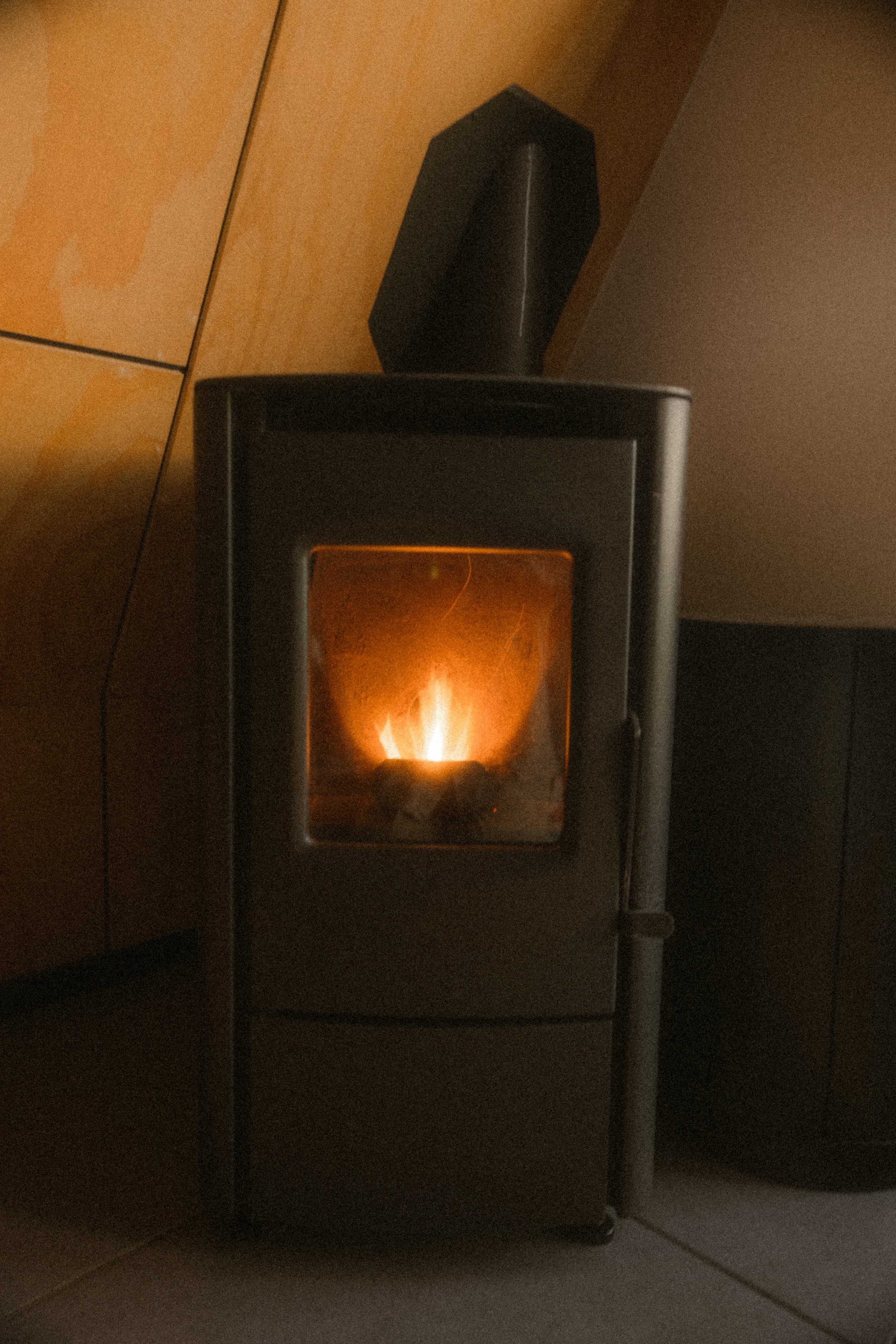 TOBIAS - January 12, 2026 17-39-33.jpg