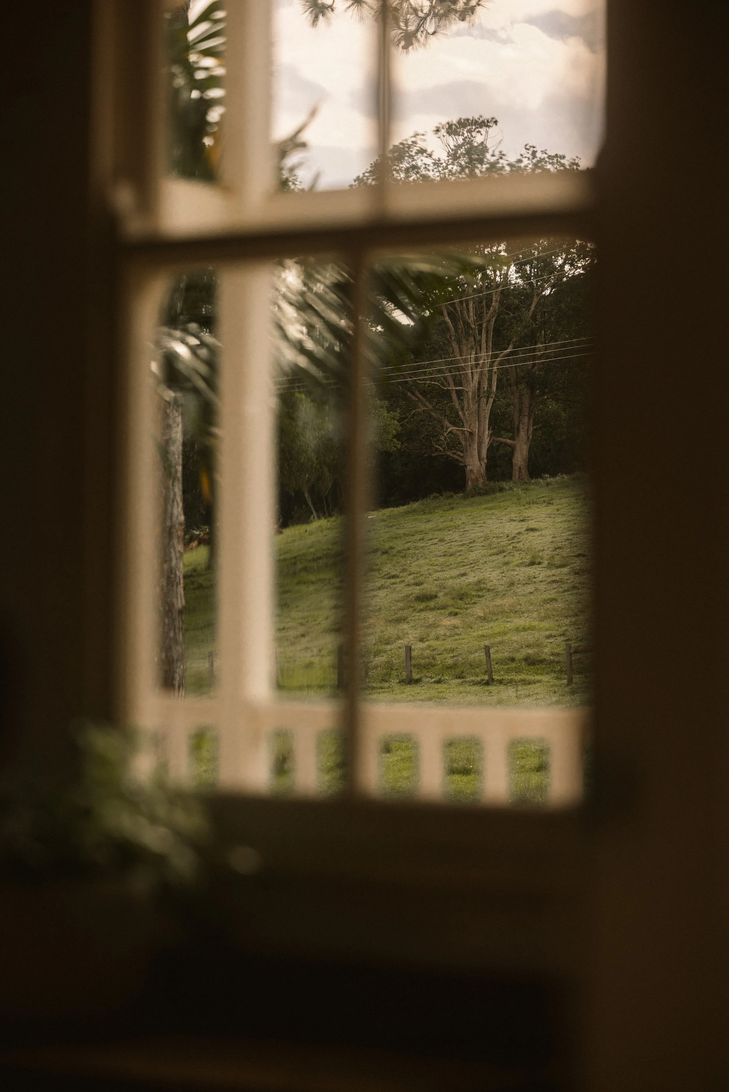 TOBIAS - March 22, 2026 05-52-11.jpg