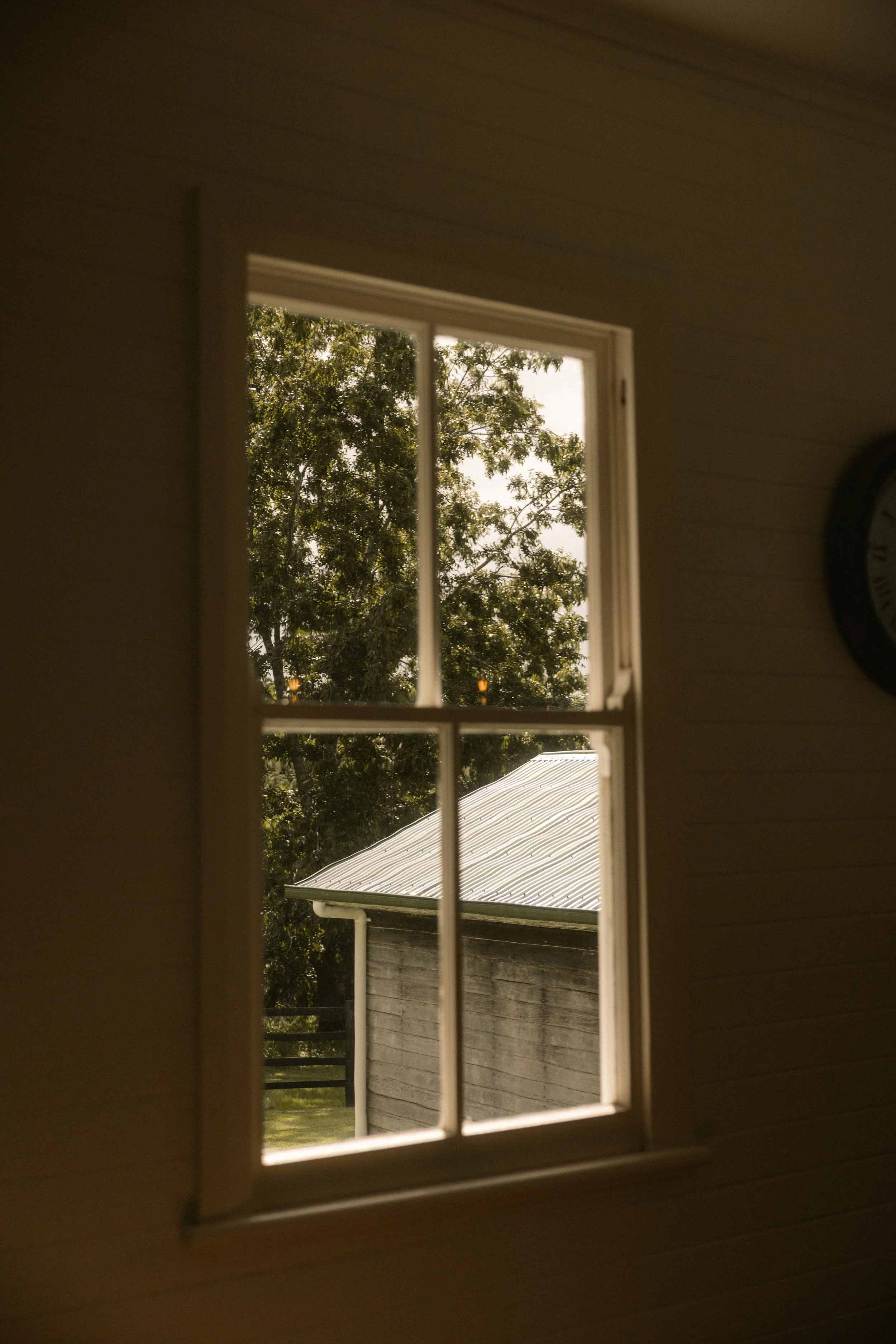 TOBIAS - March 20, 2026 12-05-35.jpg