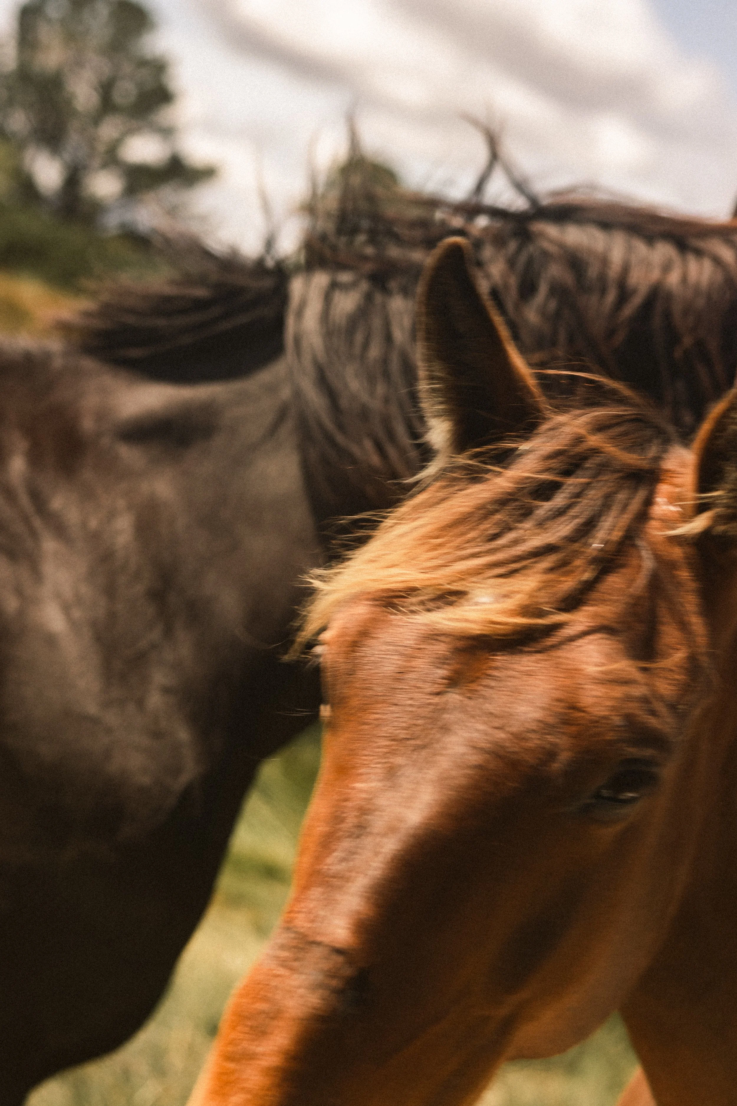 TOBIAS - January 06, 2026 08-53-16.jpg