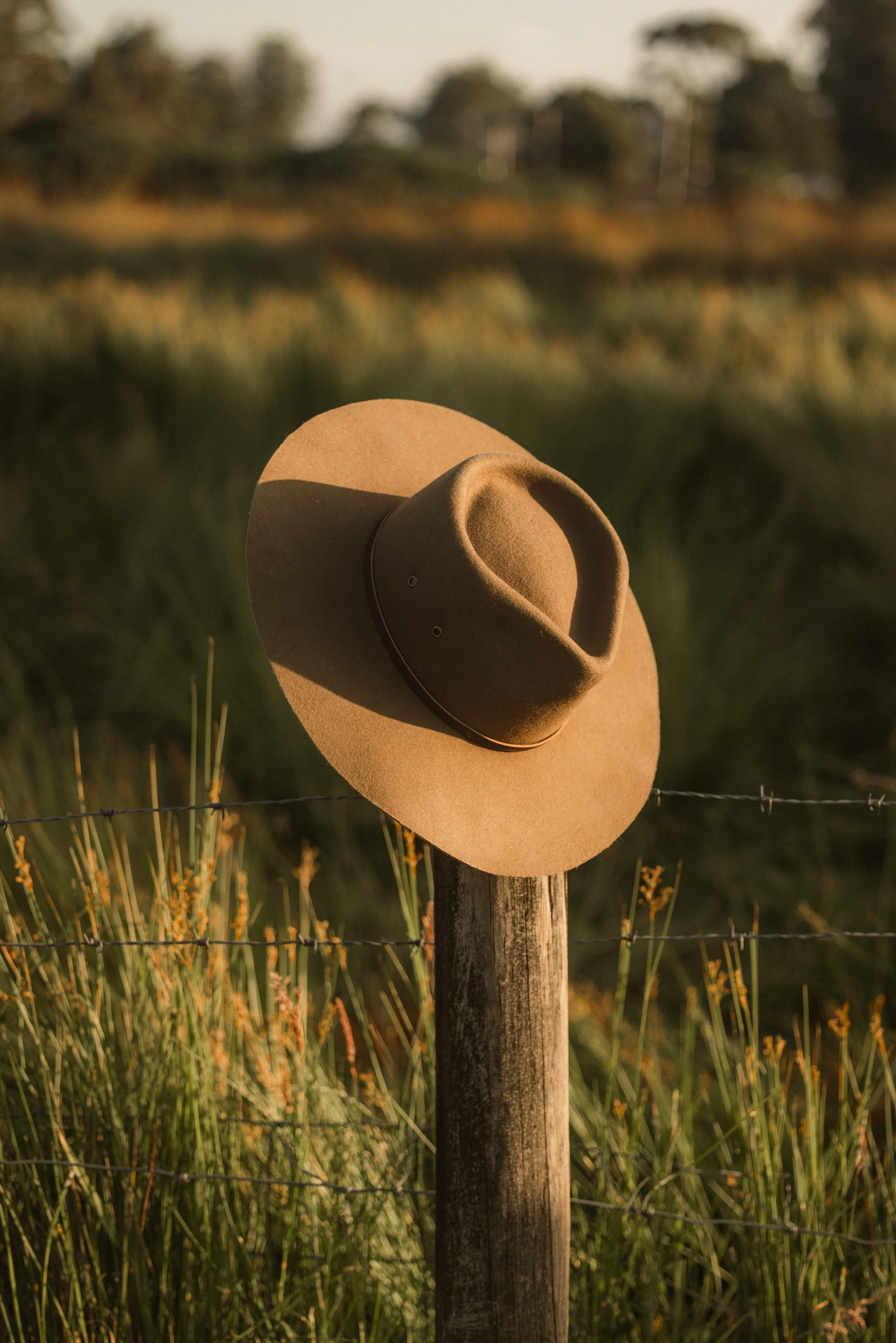 TOBIAS - January 06, 2026 17-05-35.jpg