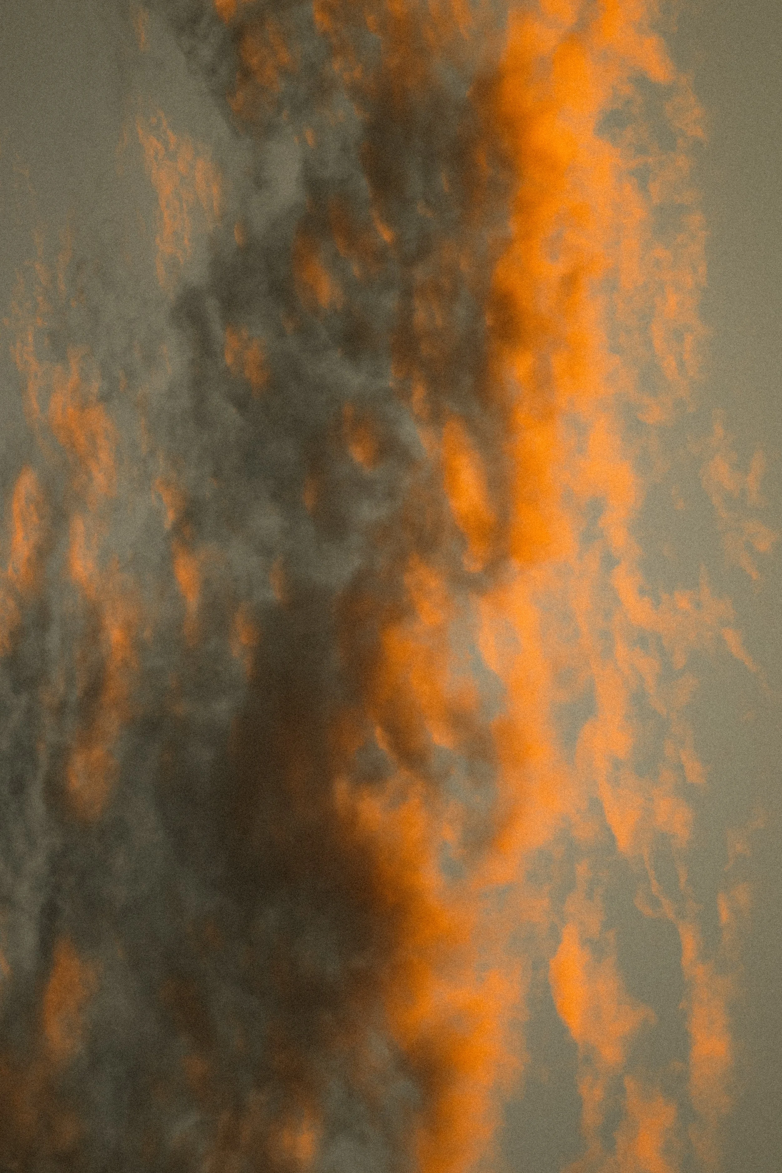 TOBIAS - January 12, 2026 17-50-08.jpg