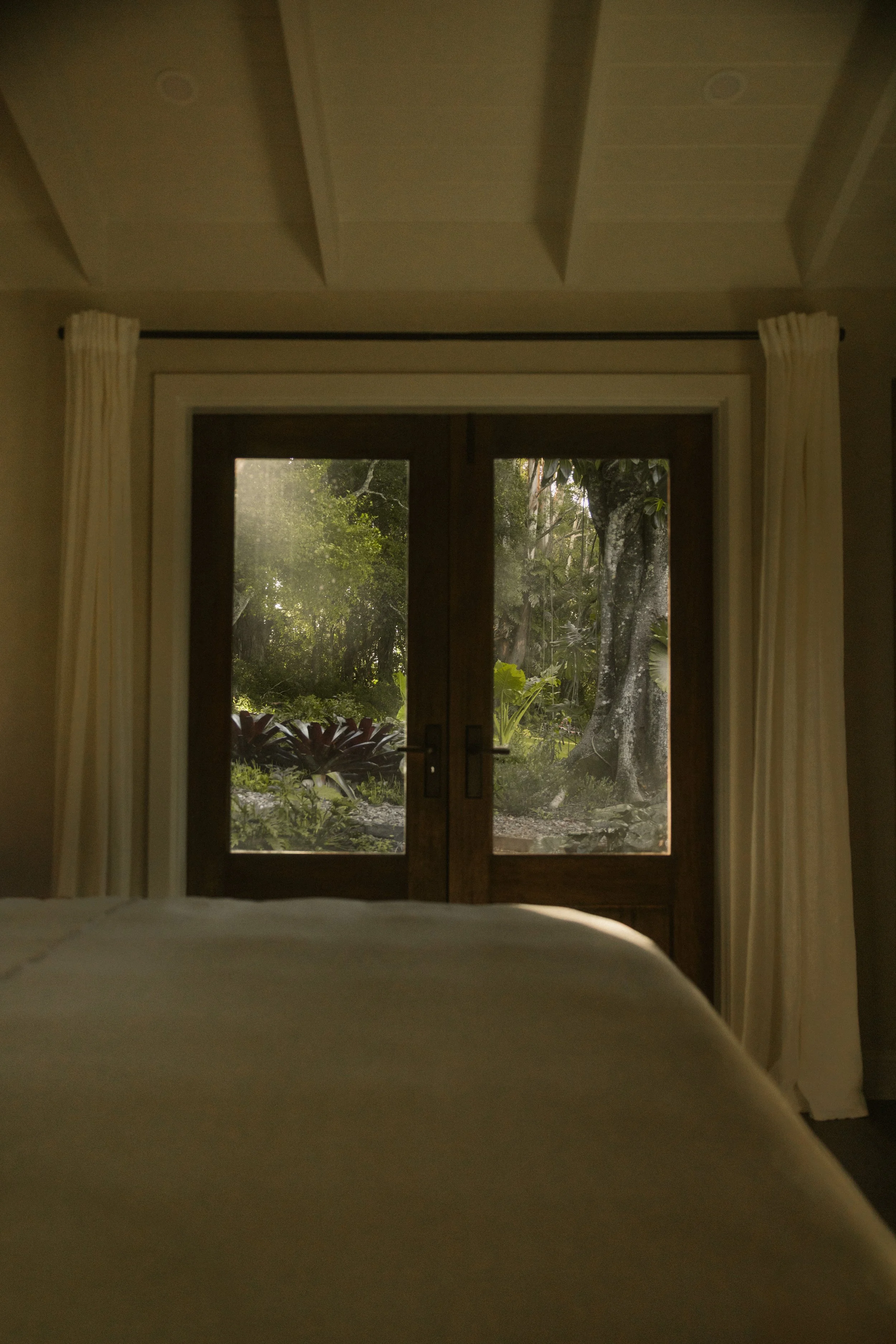 TOBIAS - March 26, 2026 14-36-43.jpg