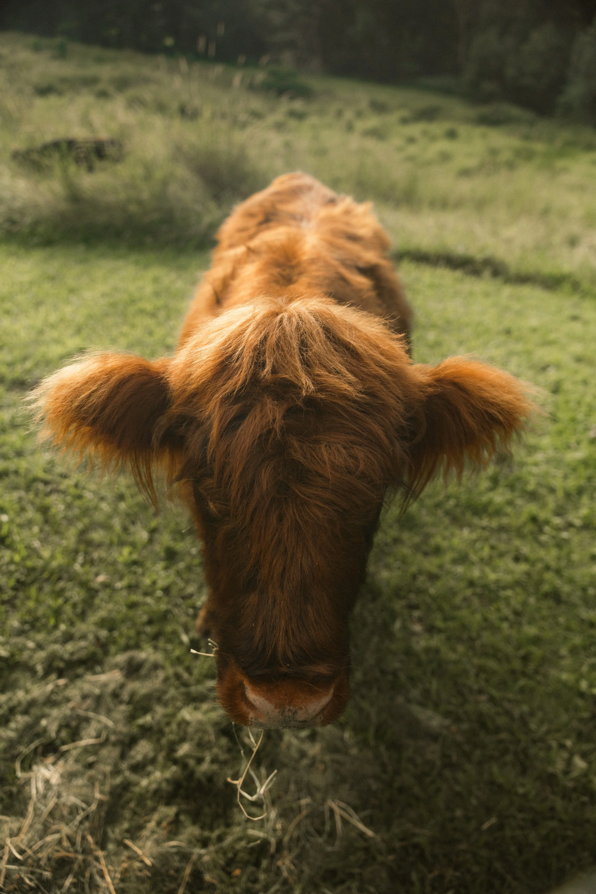 TOBIAS - March 18, 2026 14-27-10.jpg