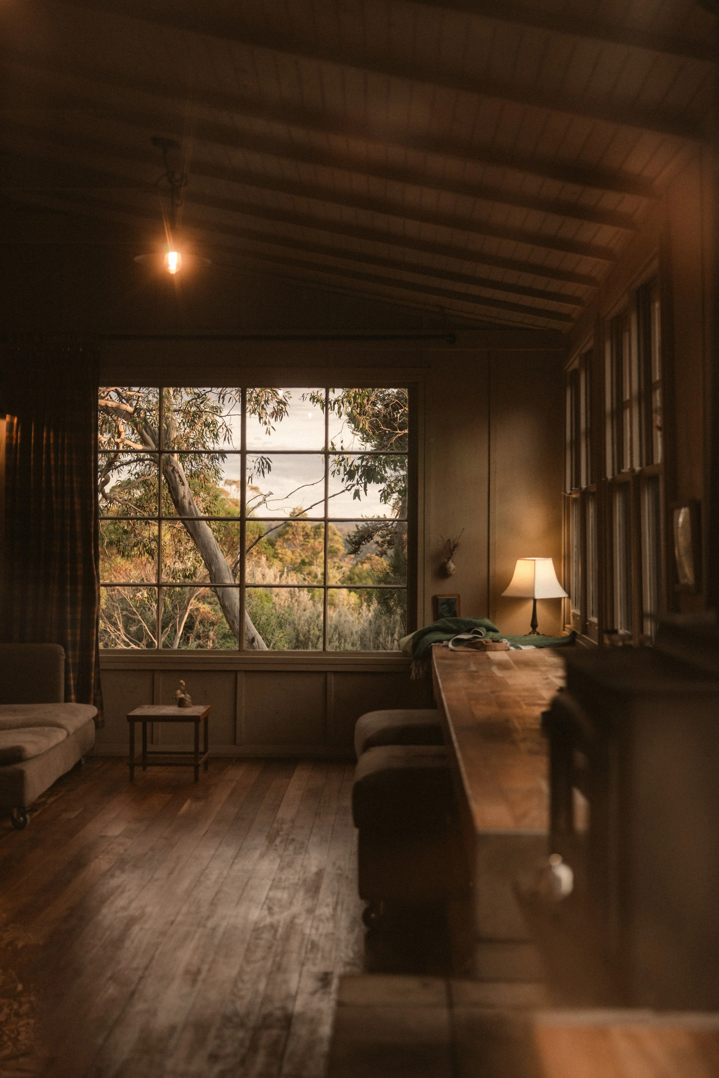 TOBIAS - January 08, 2026 17-28-00.jpg