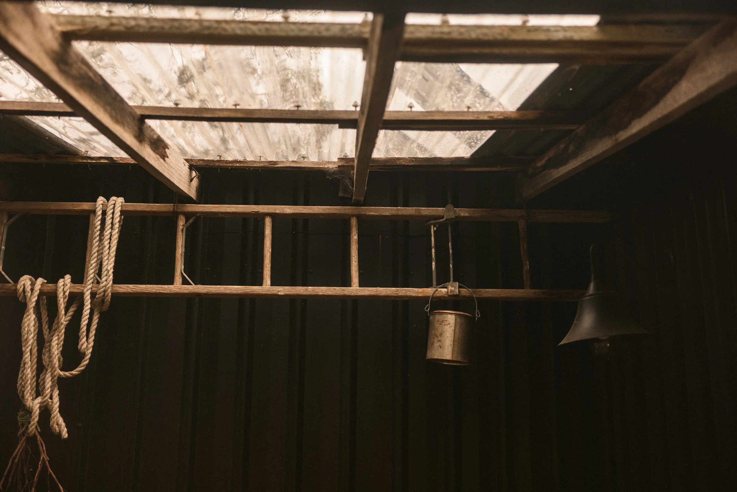 TOBIAS - January 09, 2026 11-35-59.jpg