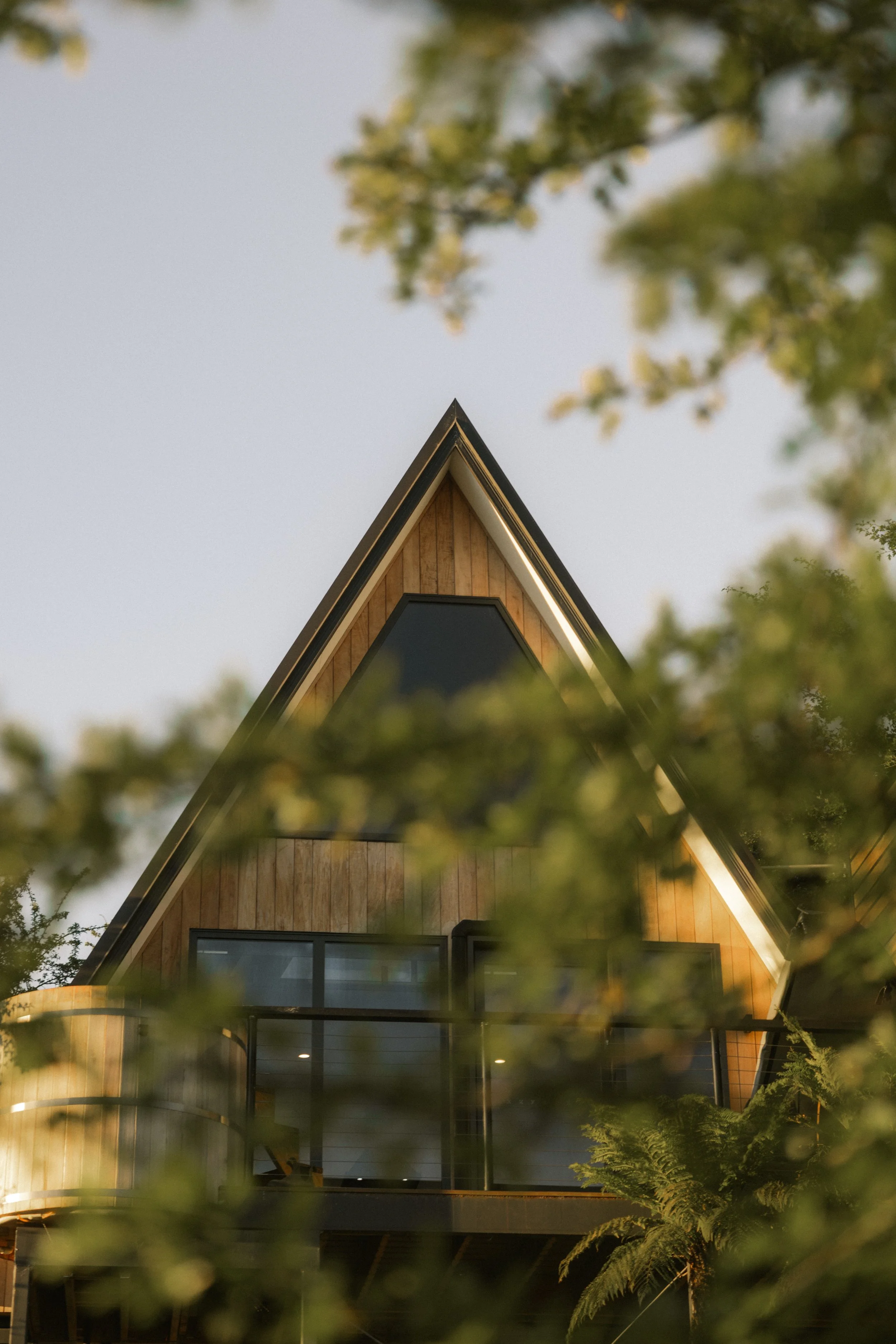 TOBIAS - January 11, 2026 17-23-32.jpg