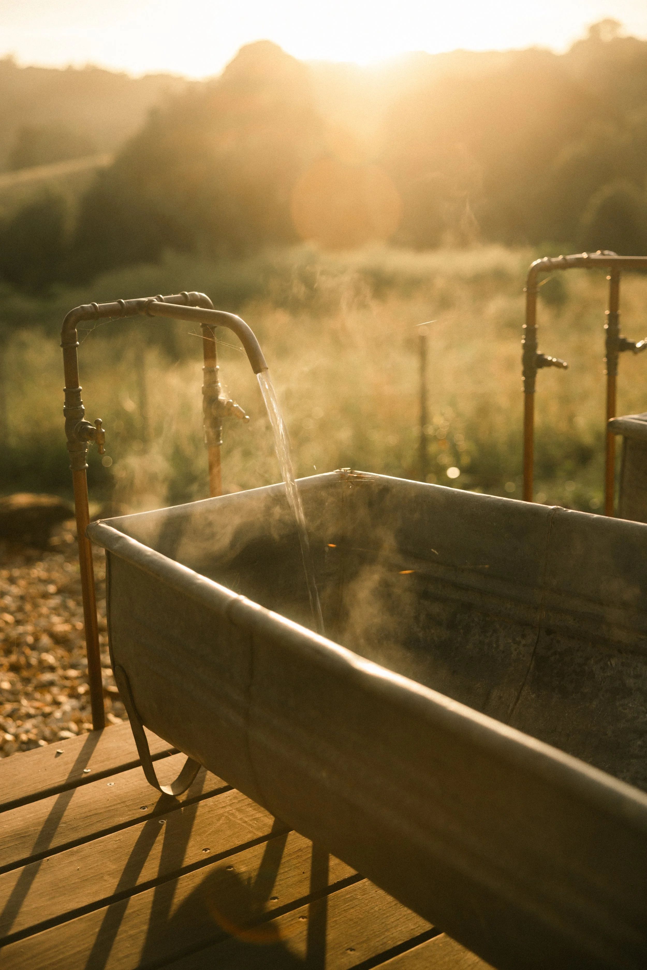 TOBIAS - March 27, 2026 04-30-36.jpg