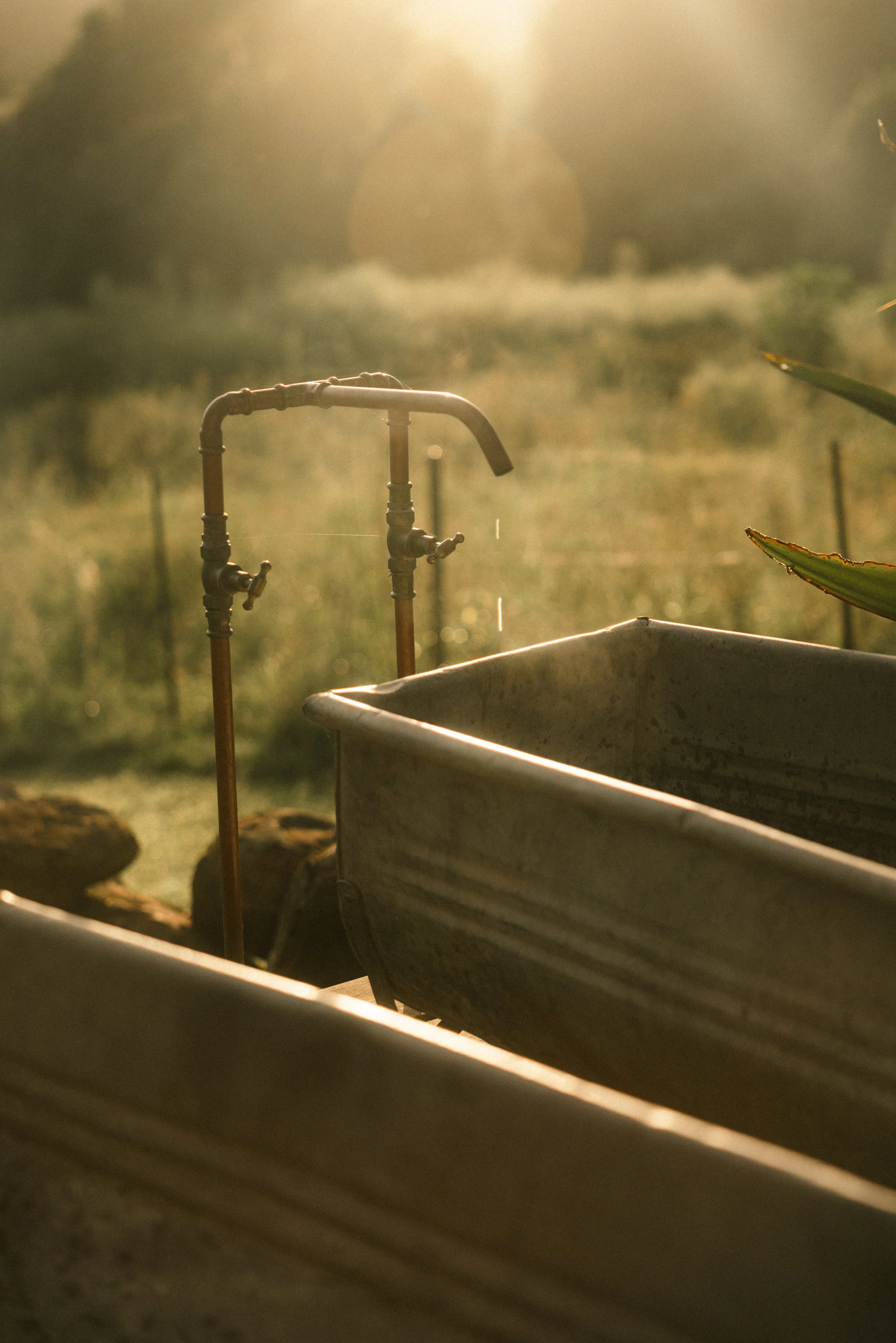 TOBIAS - March 27, 2026 04-34-48.jpg