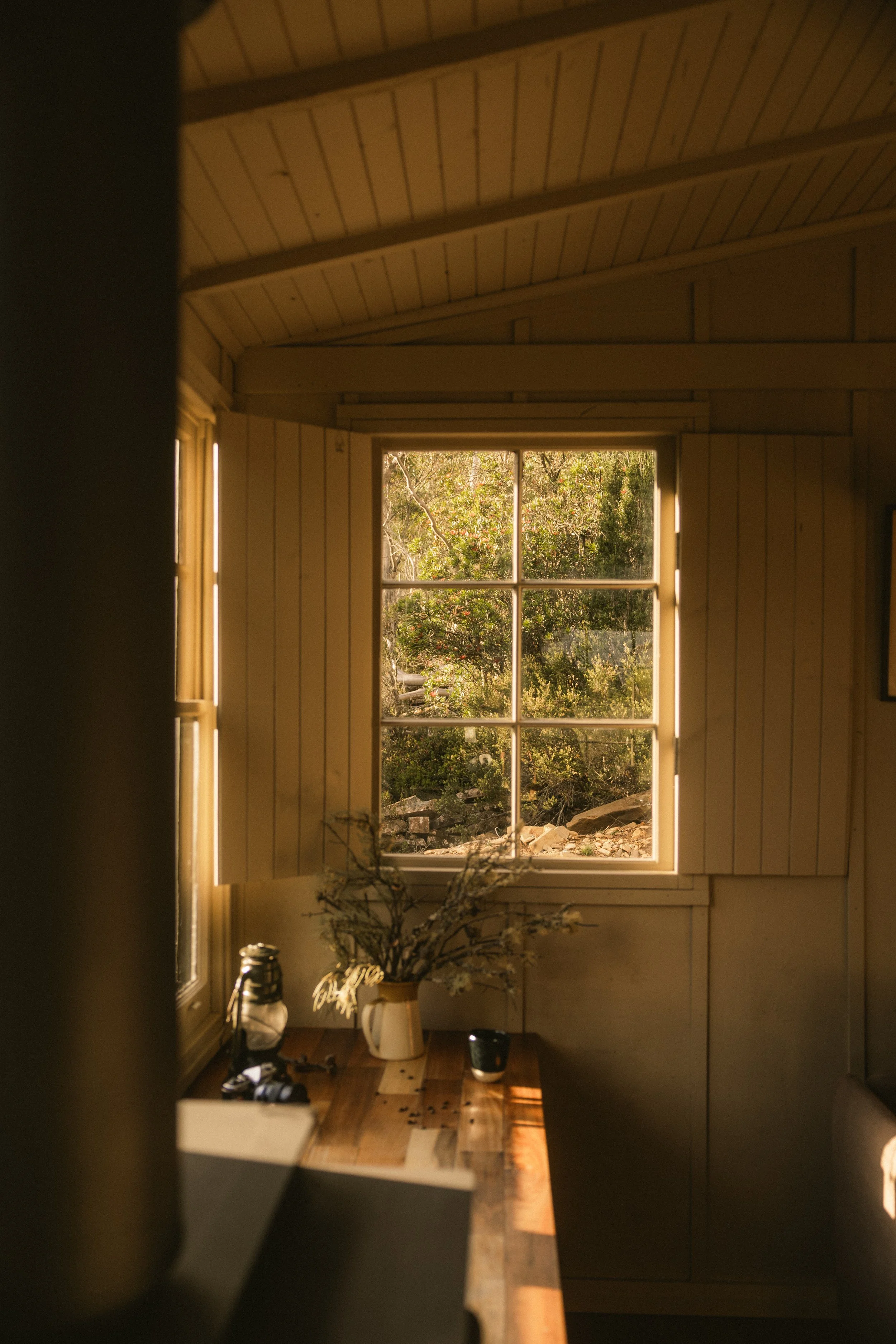 TOBIAS - January 10, 2026 16-26-38.jpg