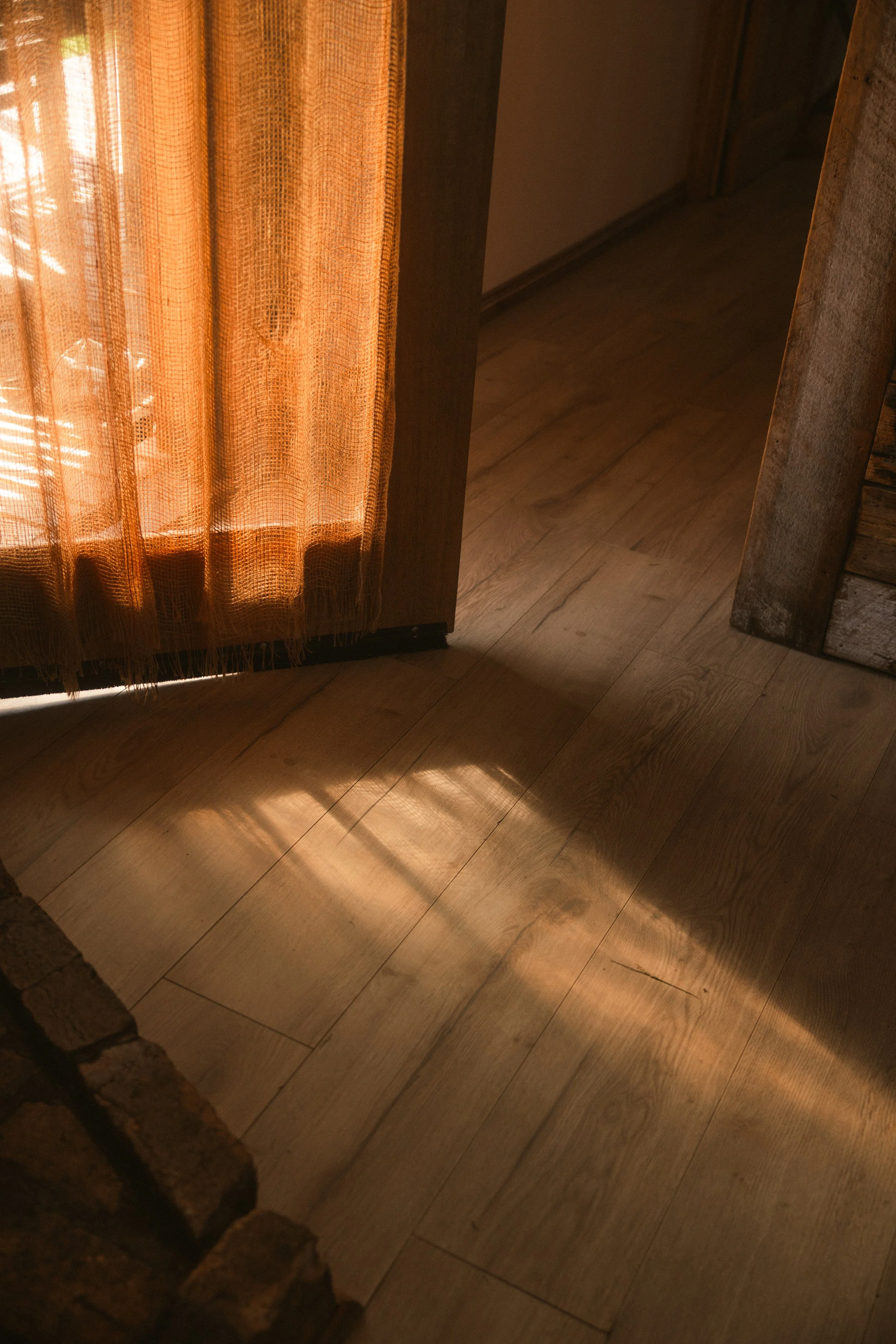 TOBIAS - January 07, 2026 06-15-50.jpg