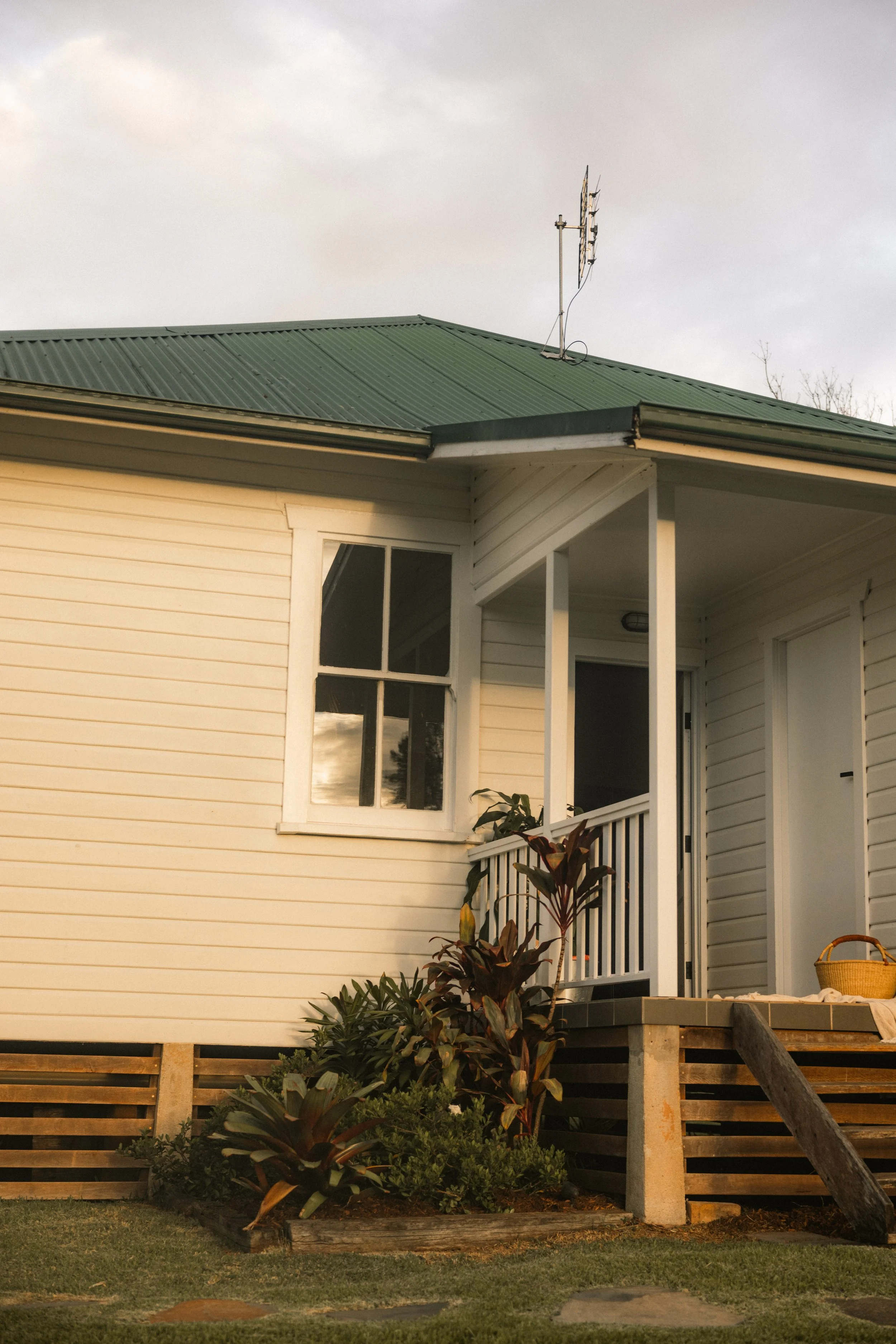 TOBIAS - March 20, 2026 15-36-55.jpg