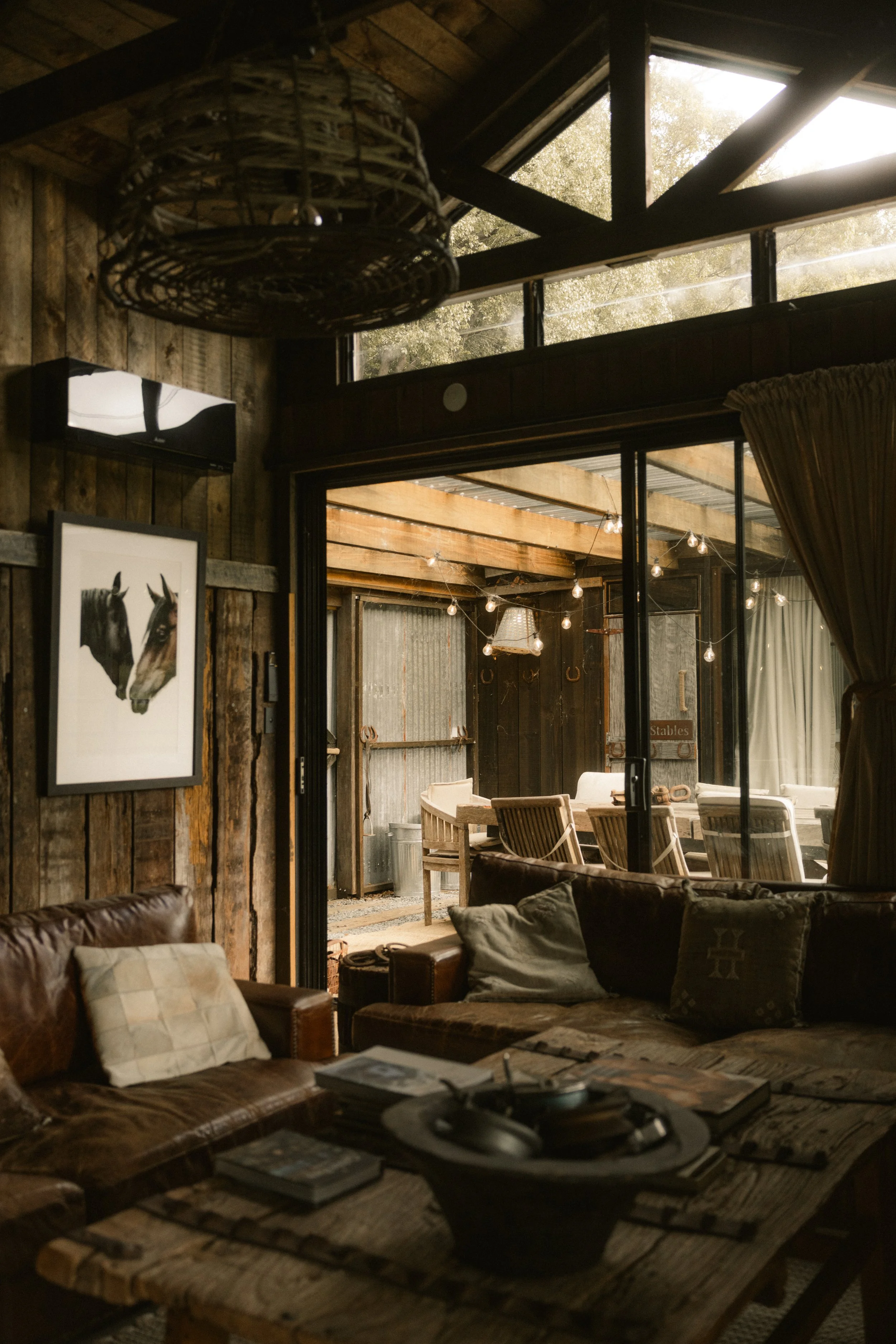 TOBIAS - March 15, 2026 14-03-17.jpg