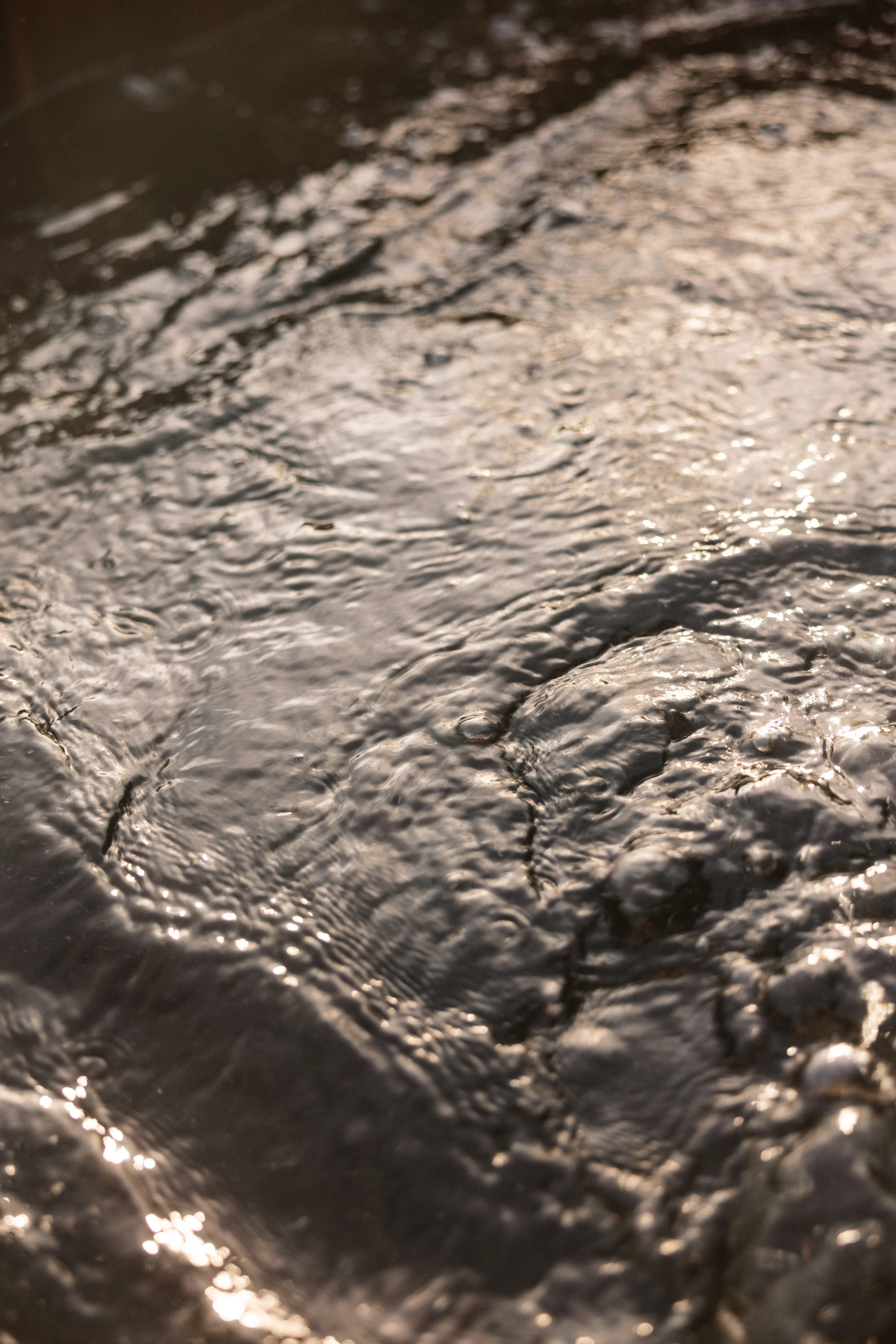 TOBIAS - January 12, 2026 16-19-56.jpg