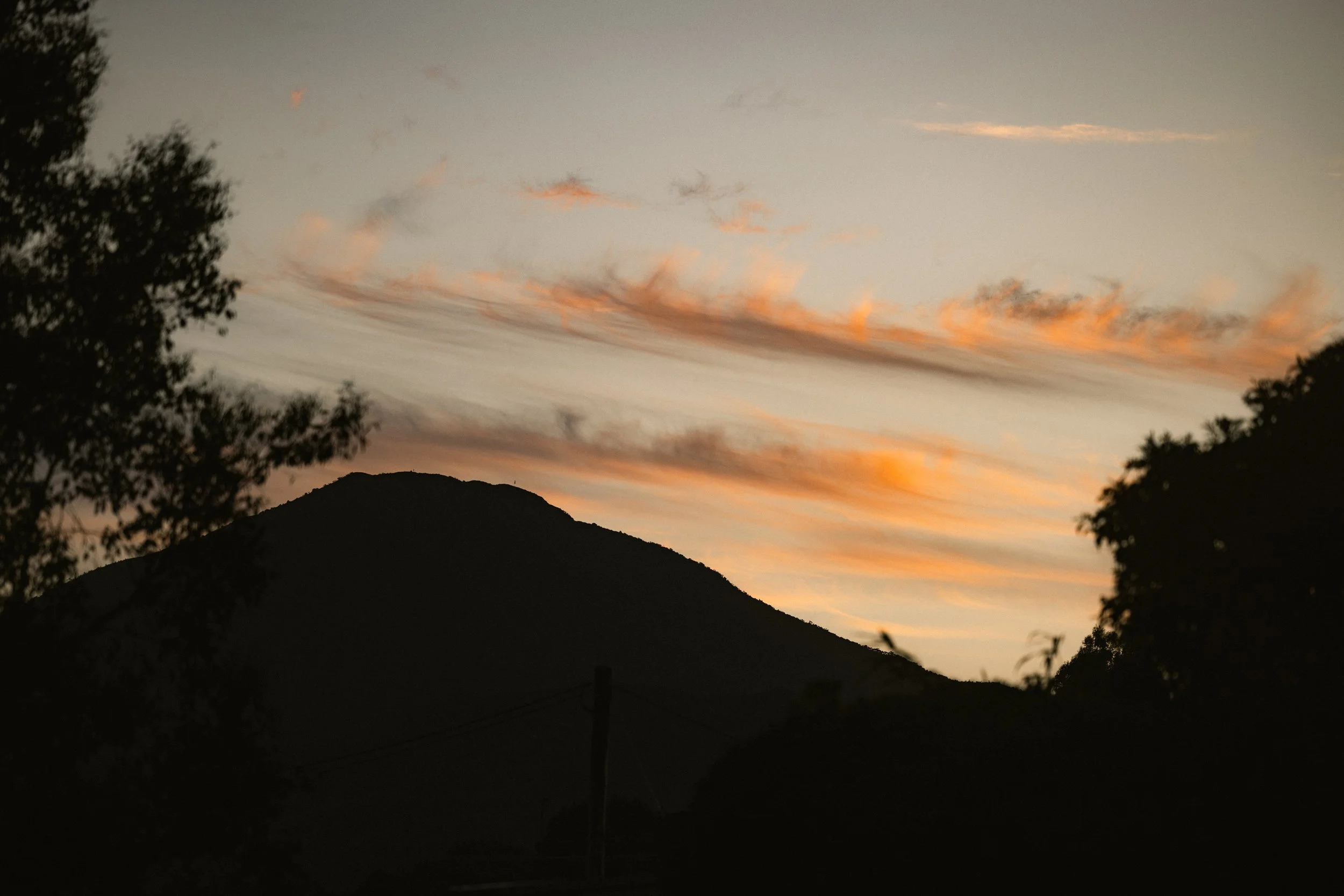 TOBIAS - January 06, 2026 18-06-59.jpg