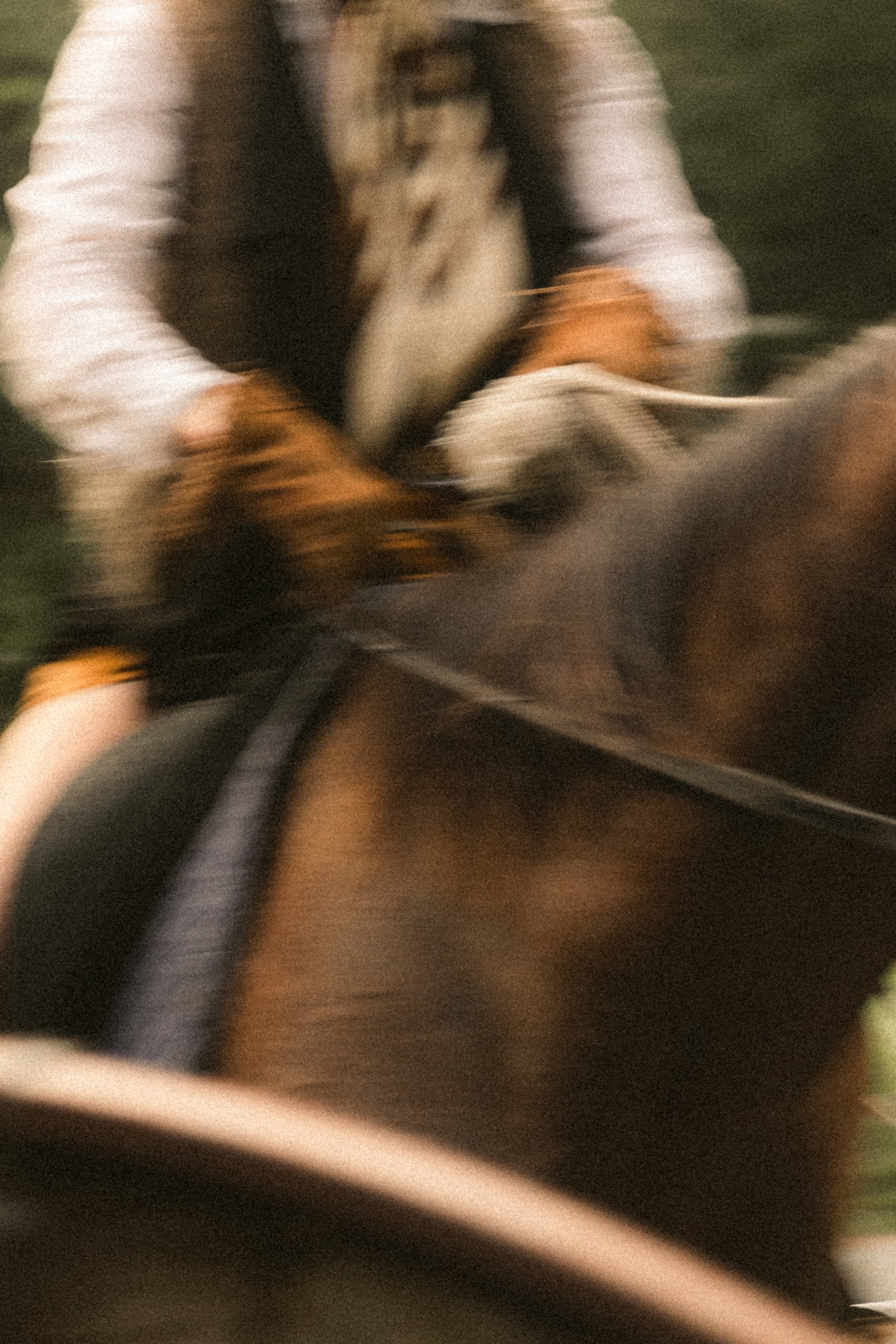 TOBIAS - March 15, 2026 15-02-04.jpg