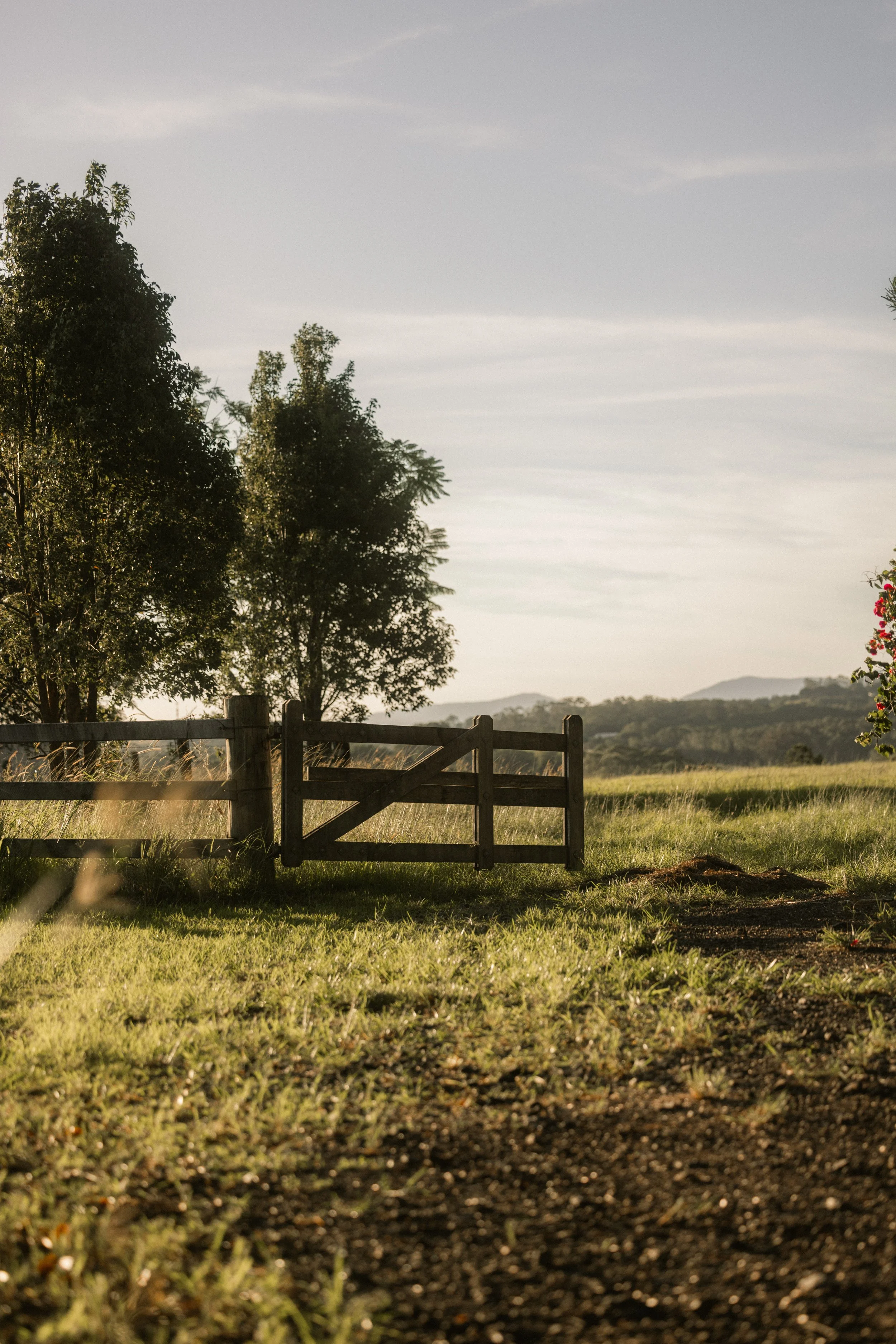 TOBIAS - March 27, 2026 15-05-27.jpg