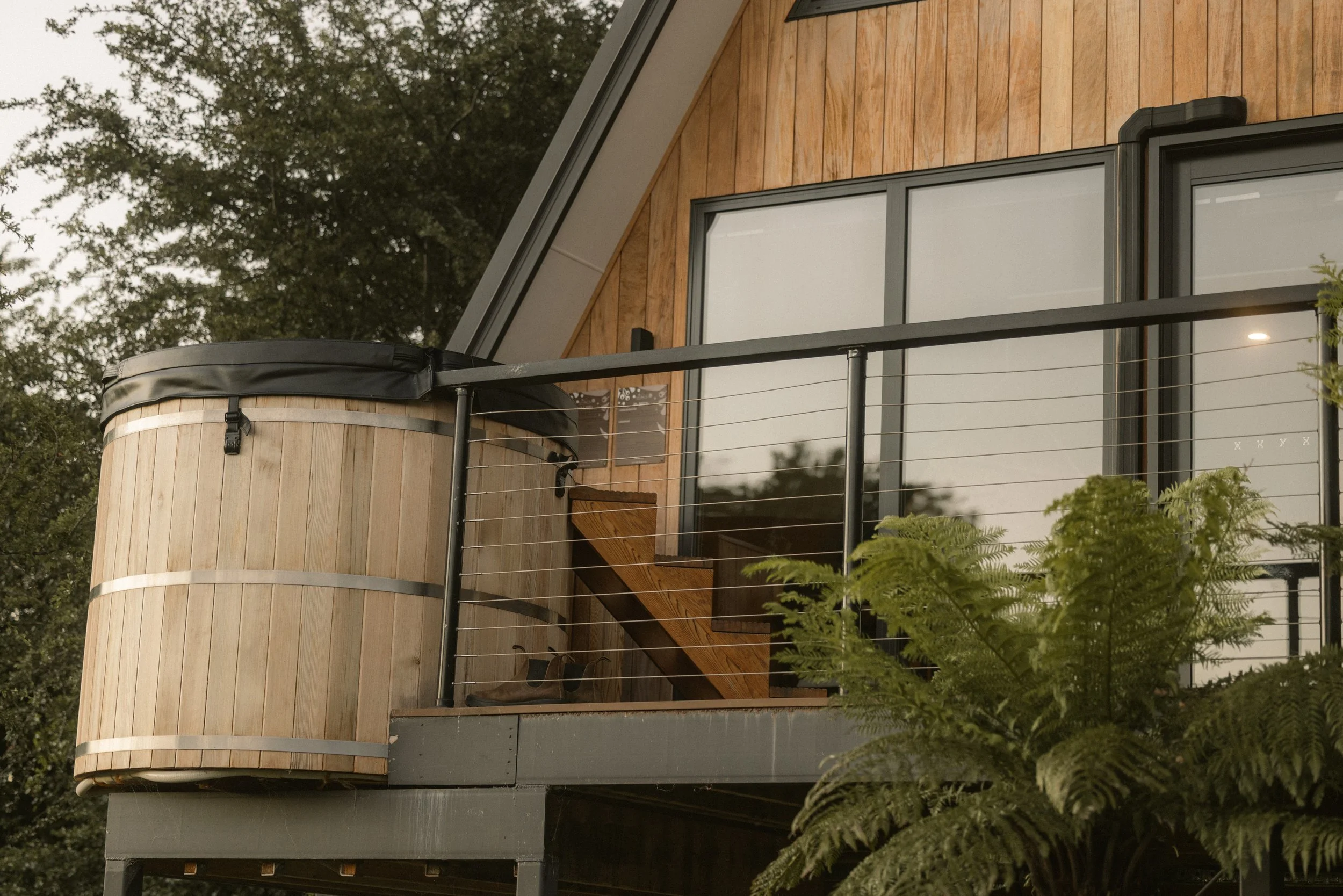 TOBIAS - January 11, 2026 17-55-50.jpg