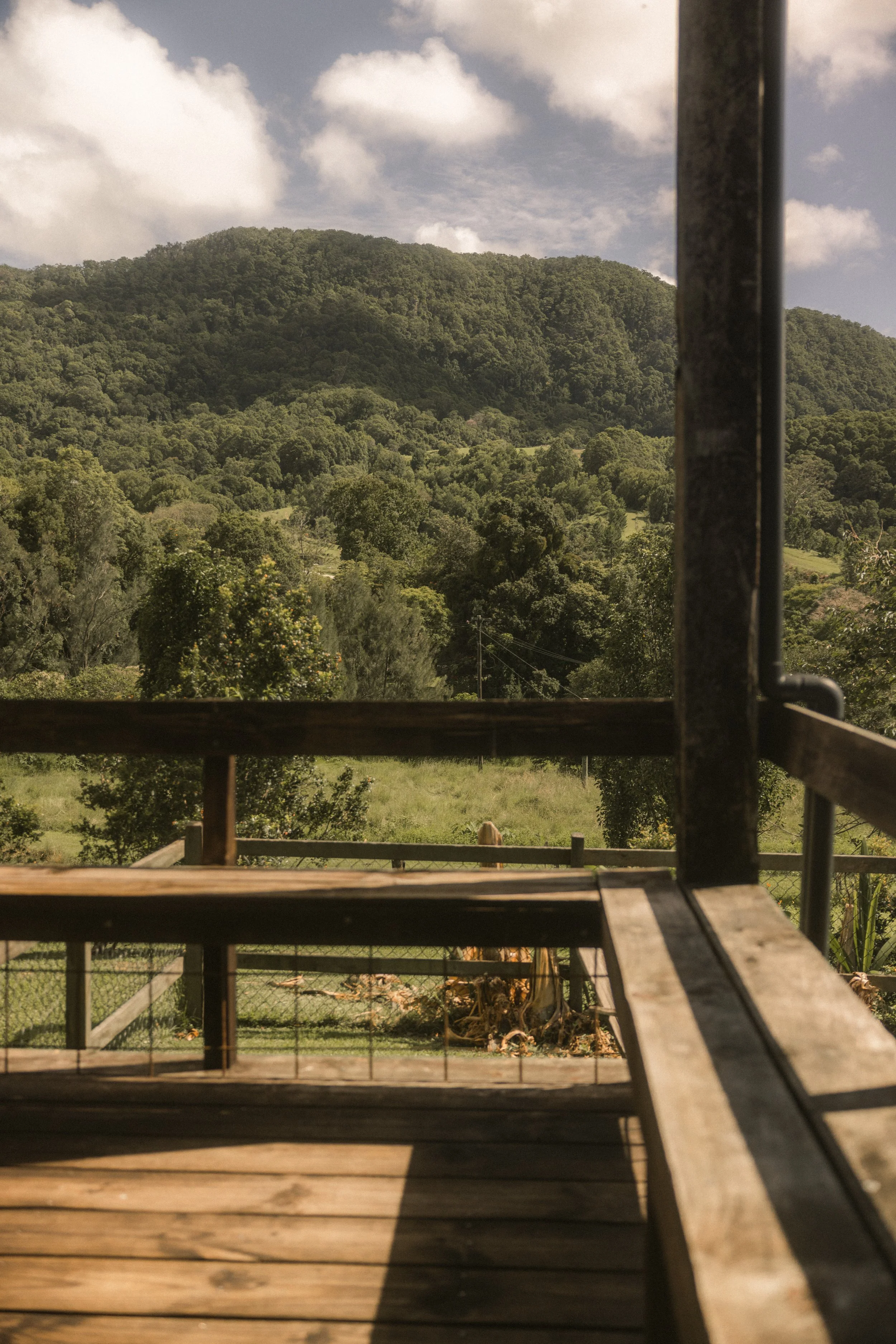 TOBIAS - March 18, 2026 07-59-06.jpg