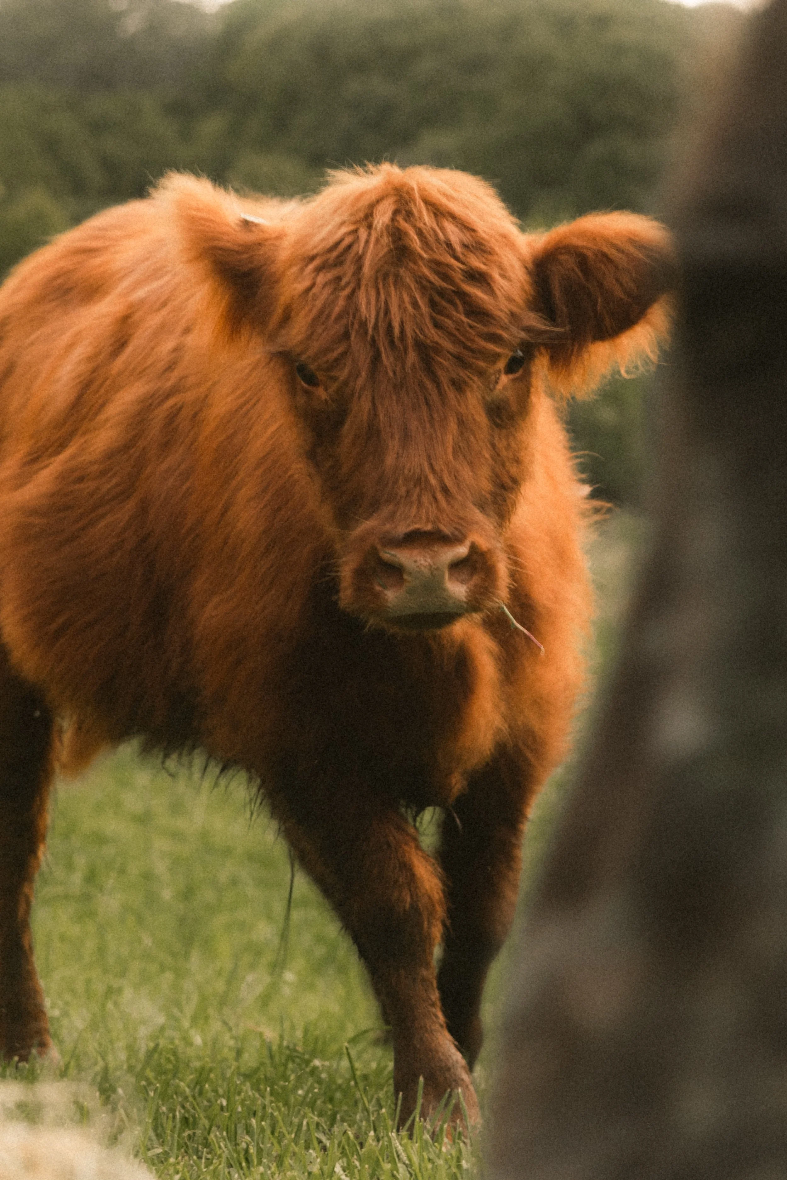 TOBIAS - March 15, 2026 15-10-14.jpg