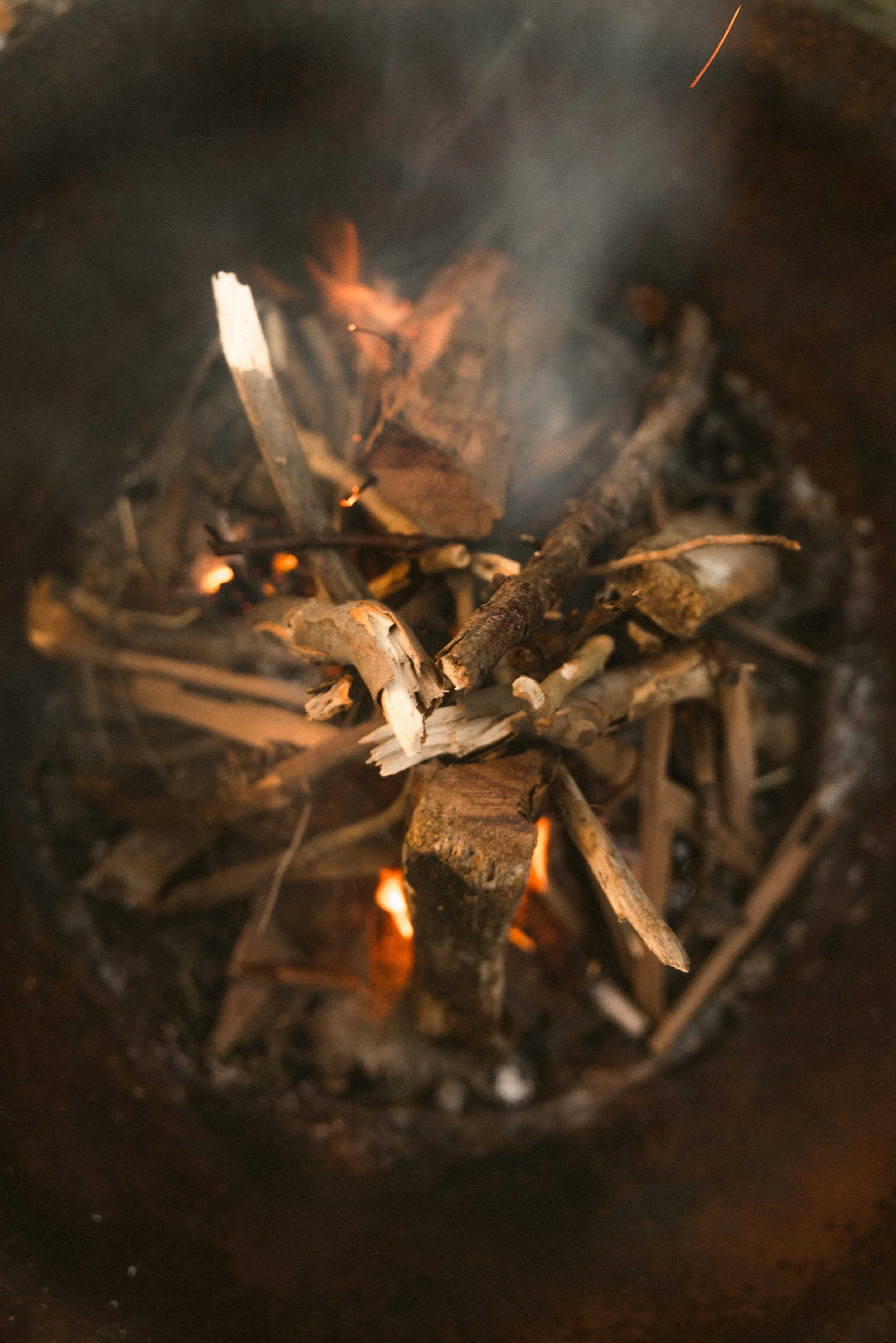 TOBIAS - March 20, 2026 15-41-31.jpg