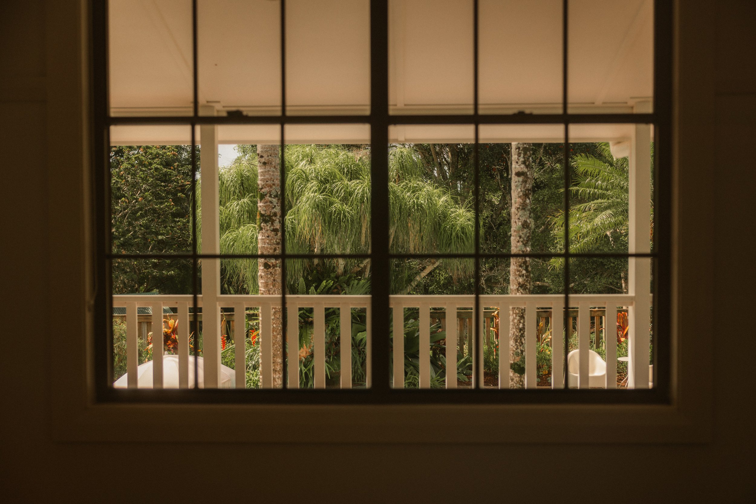 TOBIAS - March 20, 2026 12-06-41.jpg