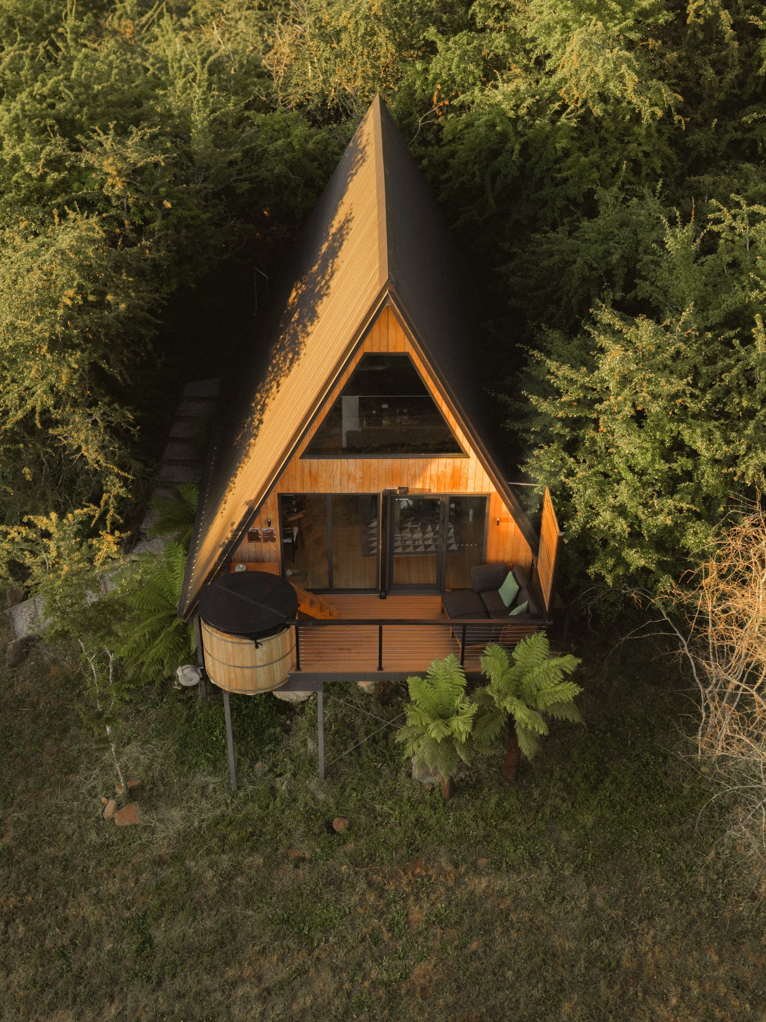 TOBIAS - January 12, 2026 17-36-18.jpg