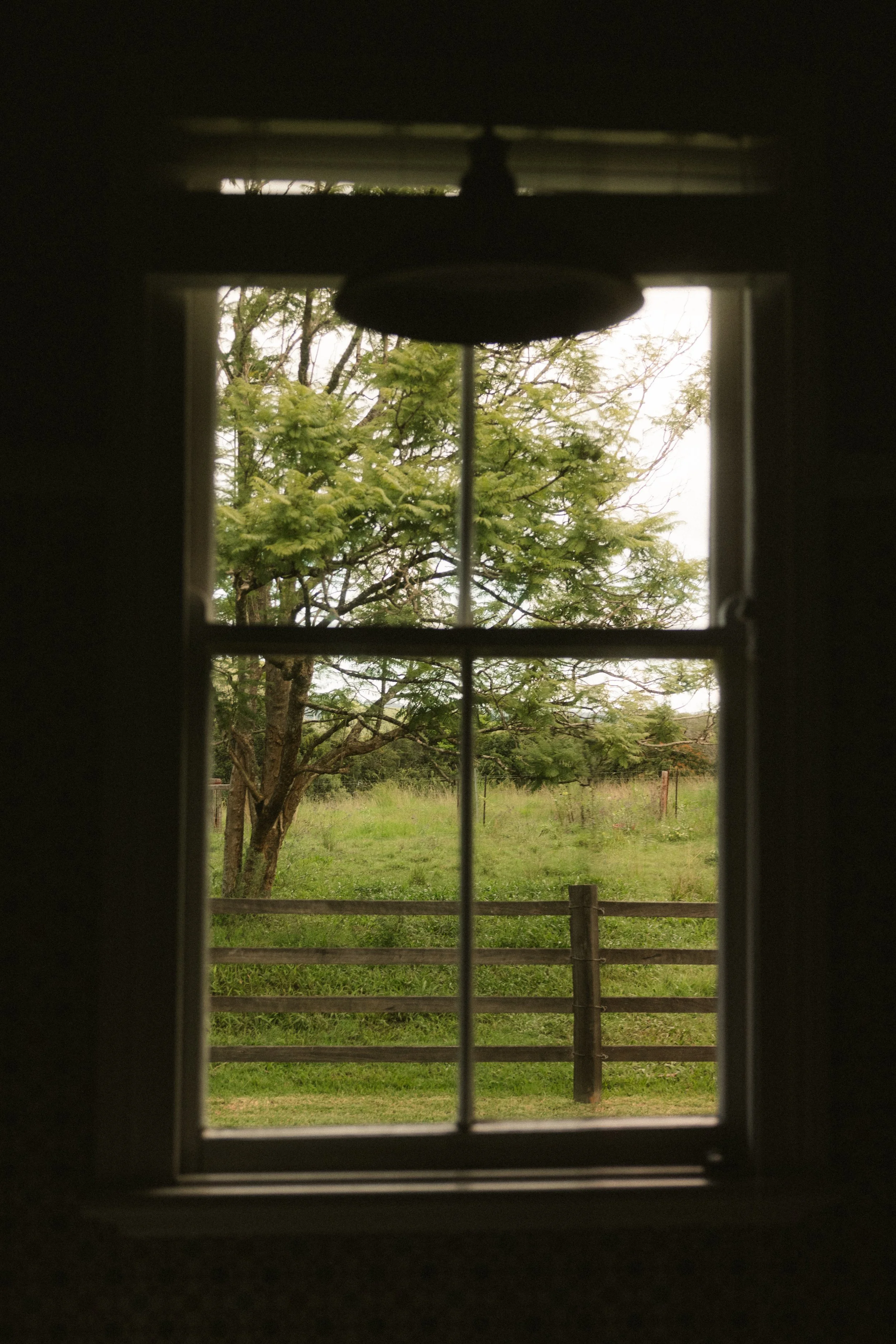 TOBIAS - March 20, 2026 11-53-37.jpg