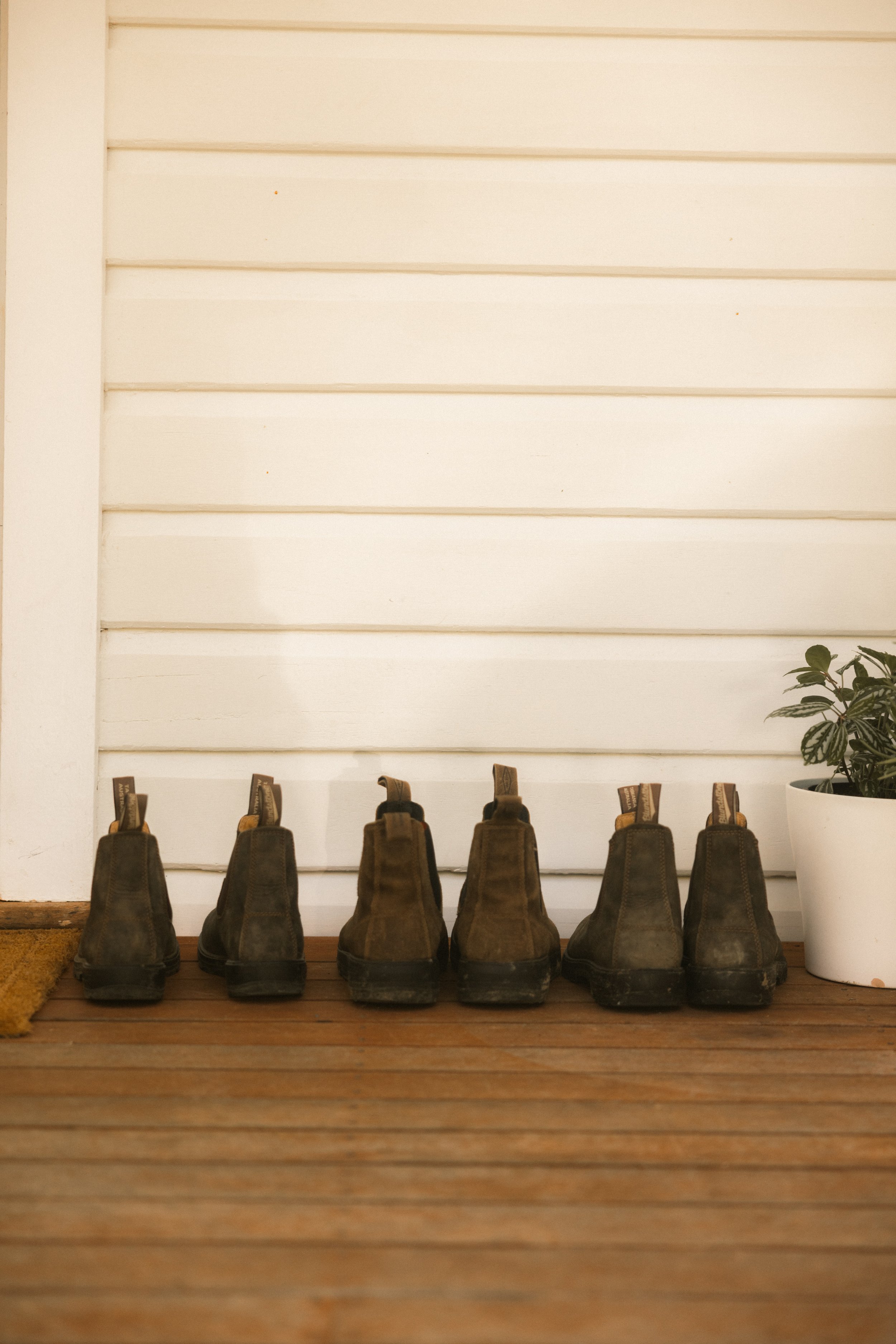 TOBIAS - March 20, 2026 12-07-58.jpg